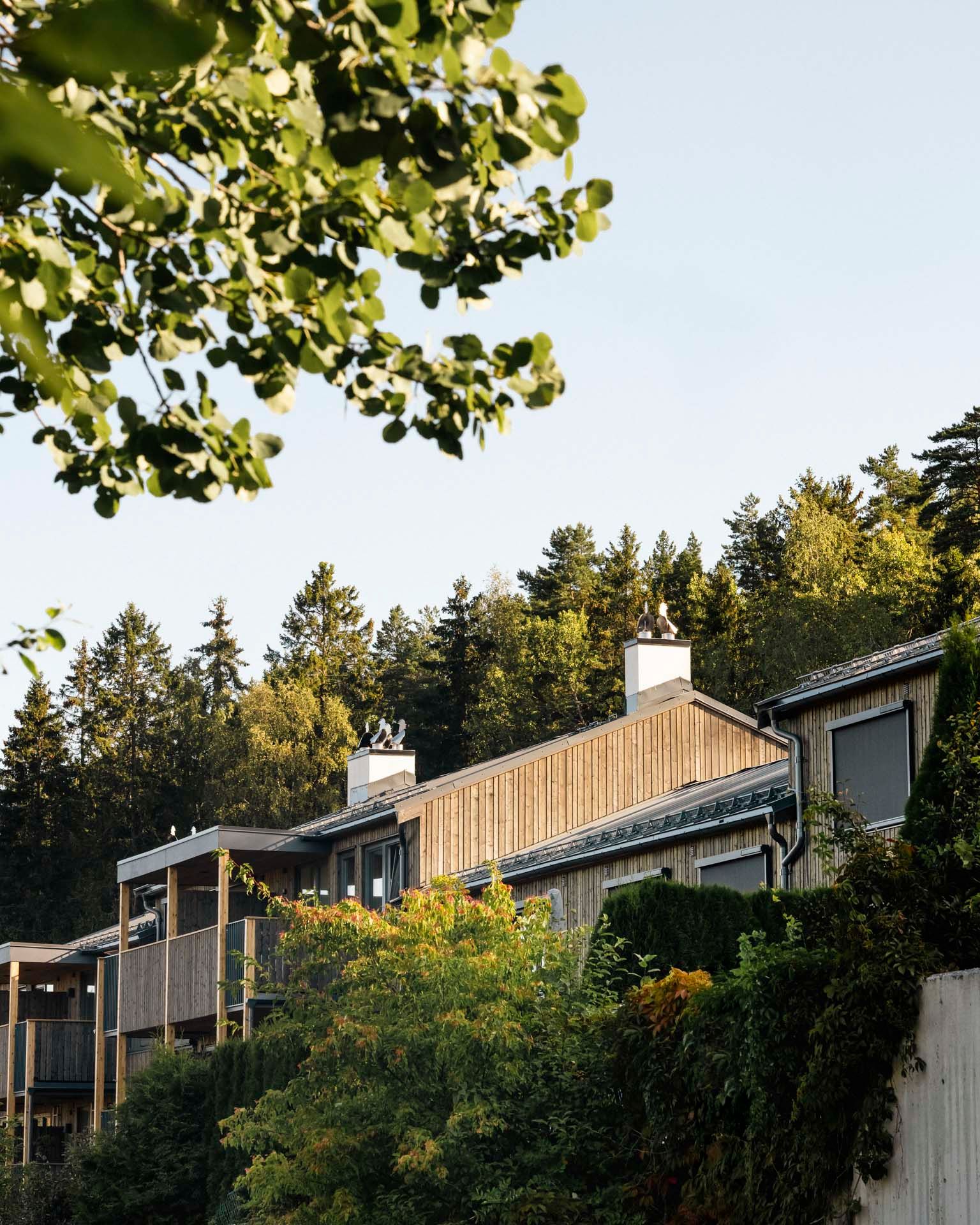 Boligblokker med ny trekledning og balkonger, omkranset av grønne trær i et solfylt boligområde.