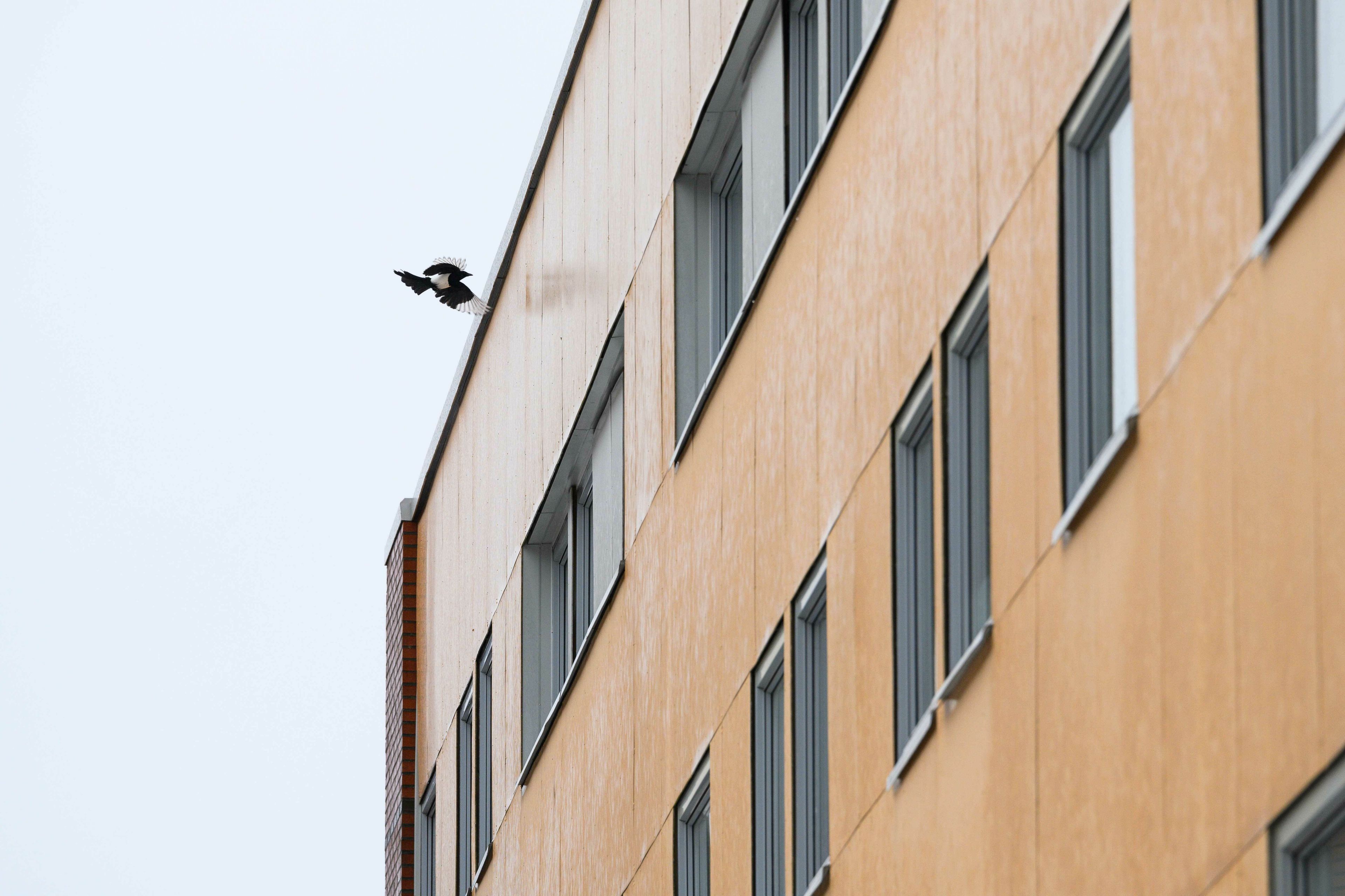 Fasadebilde av Fagerholt borettslag