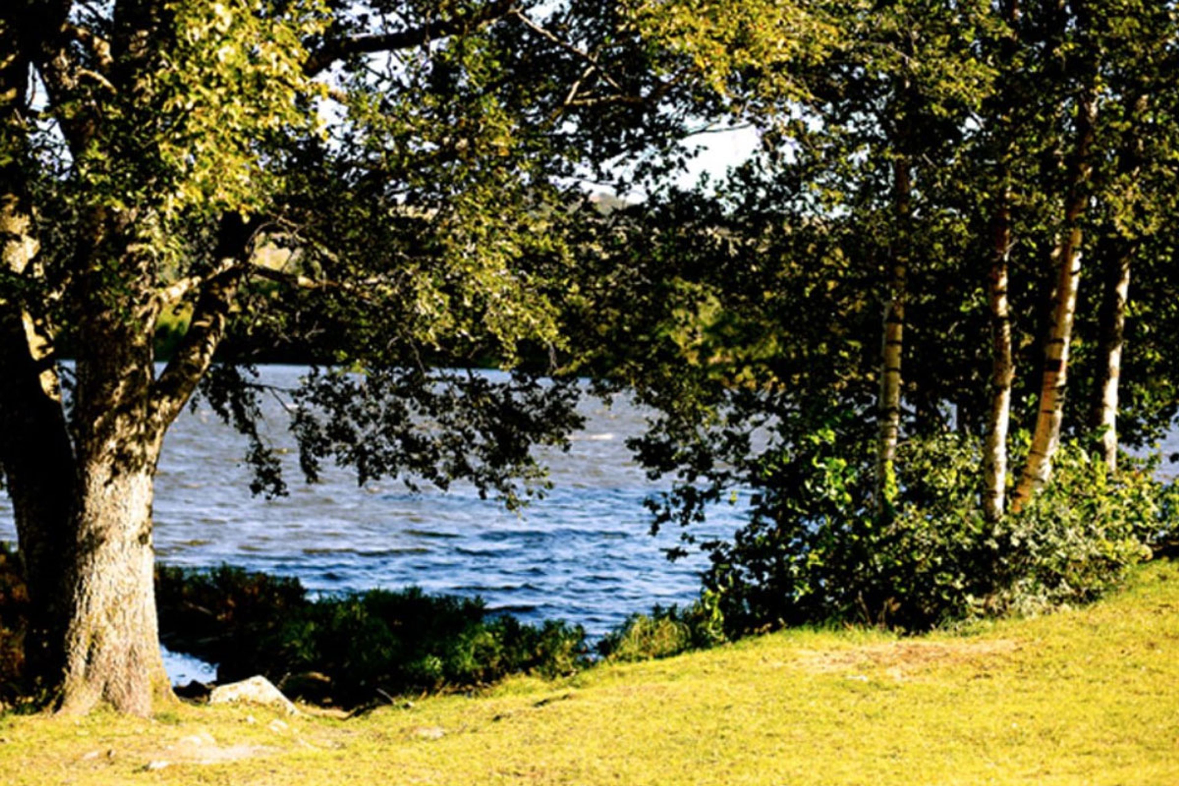 Fotografi av naturområdet rundt Stokkadalsvatnet.
