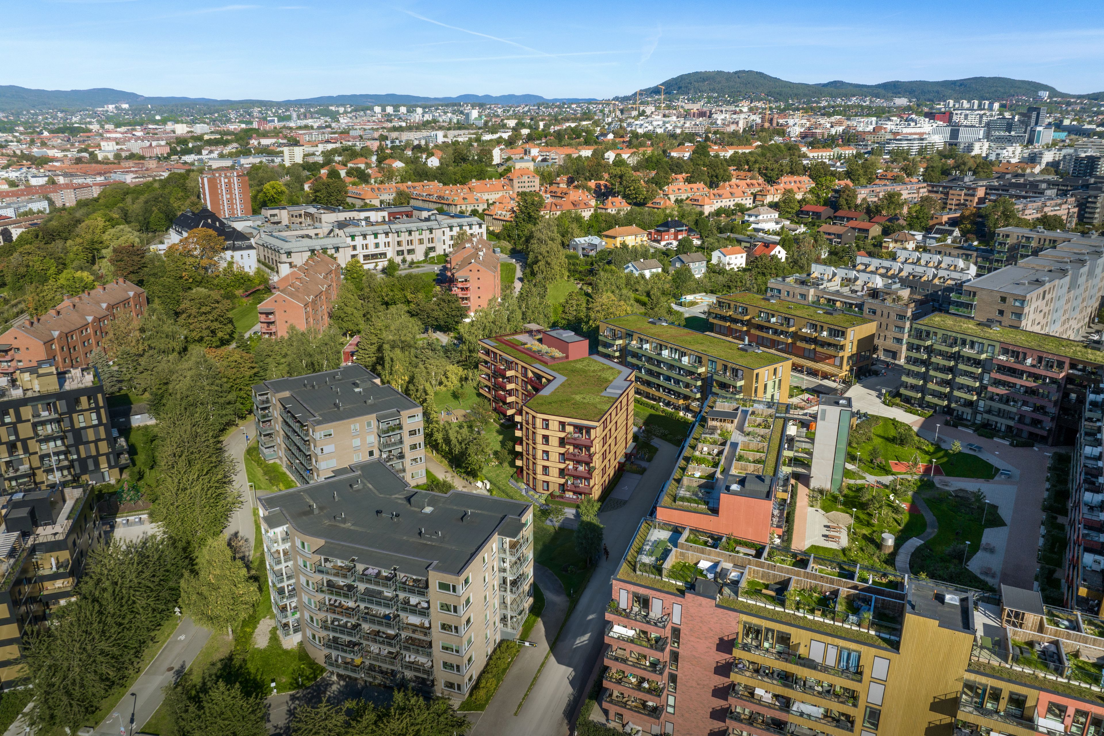 Dronebilde fra Ensjøkroken på Ensjø i Oslo.