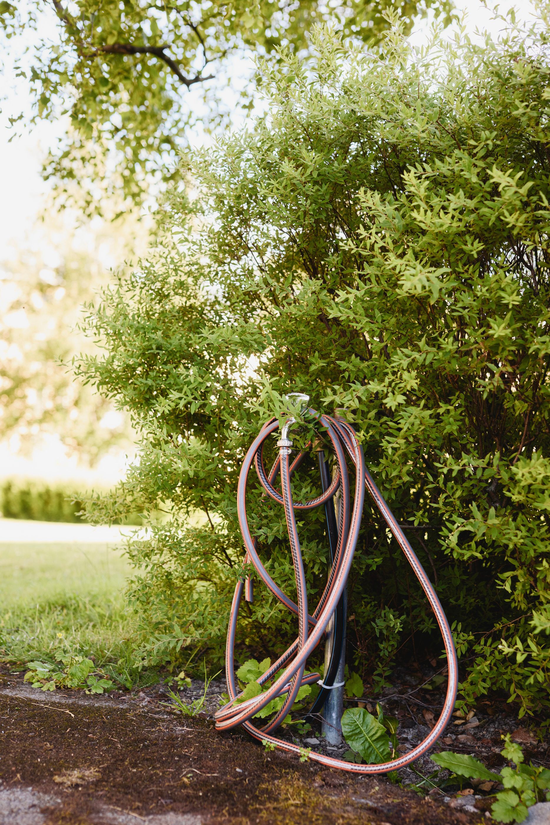 Hageslange hengende på en utekran ved en grønn busk i hagen