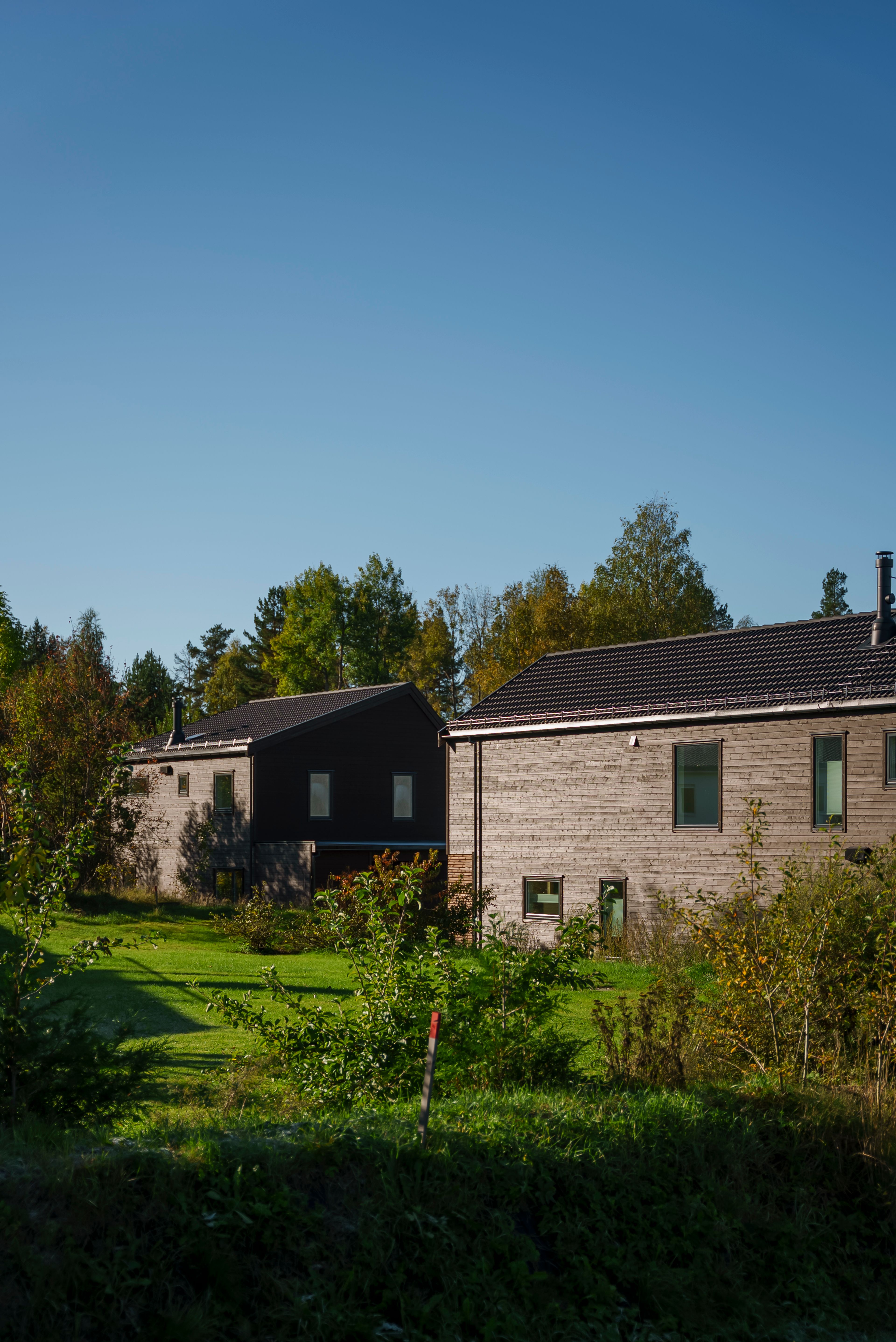 Utsiden av to brune trehus bak en frodig og grønn hage