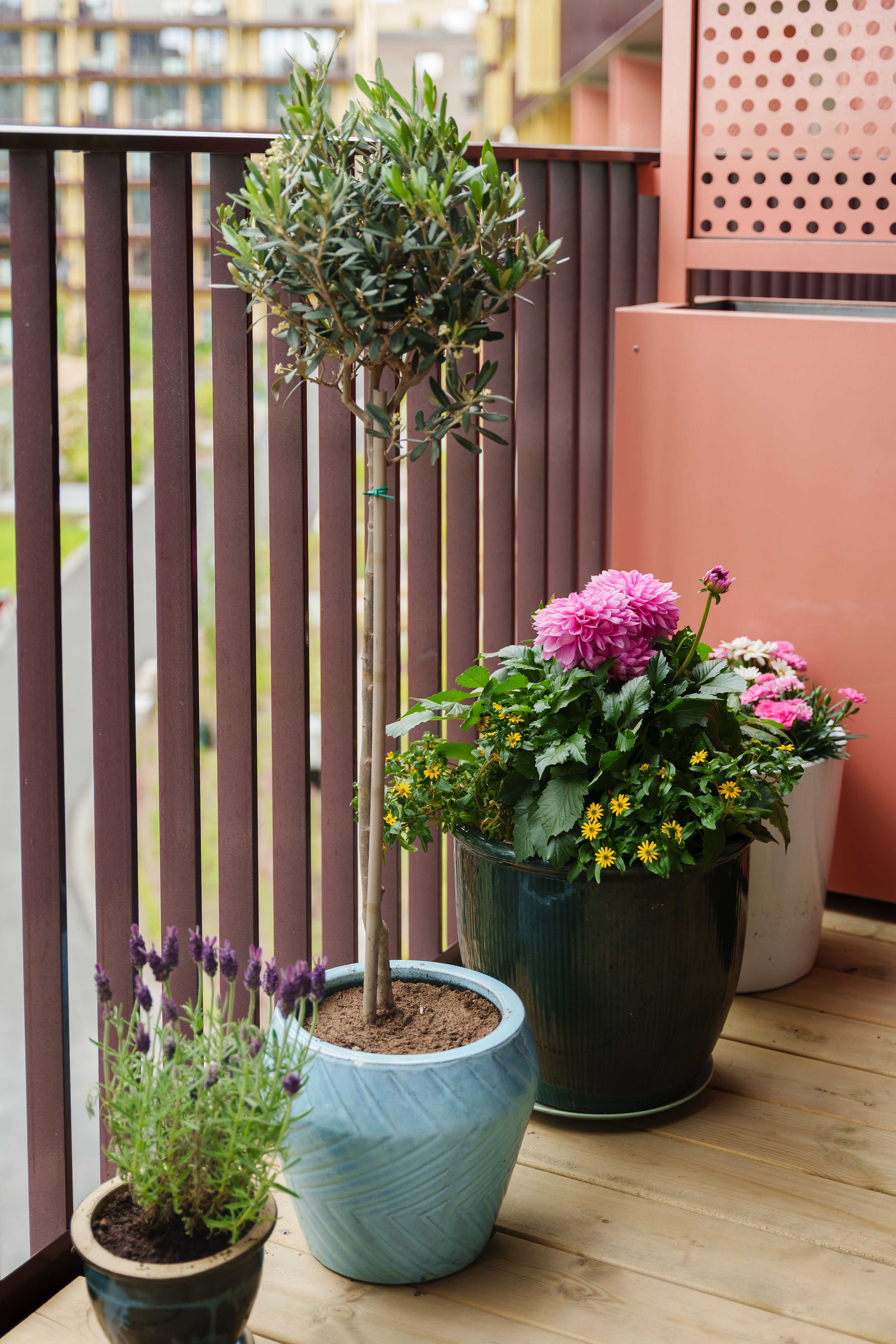 Potteplanter plassert ute på en veranda