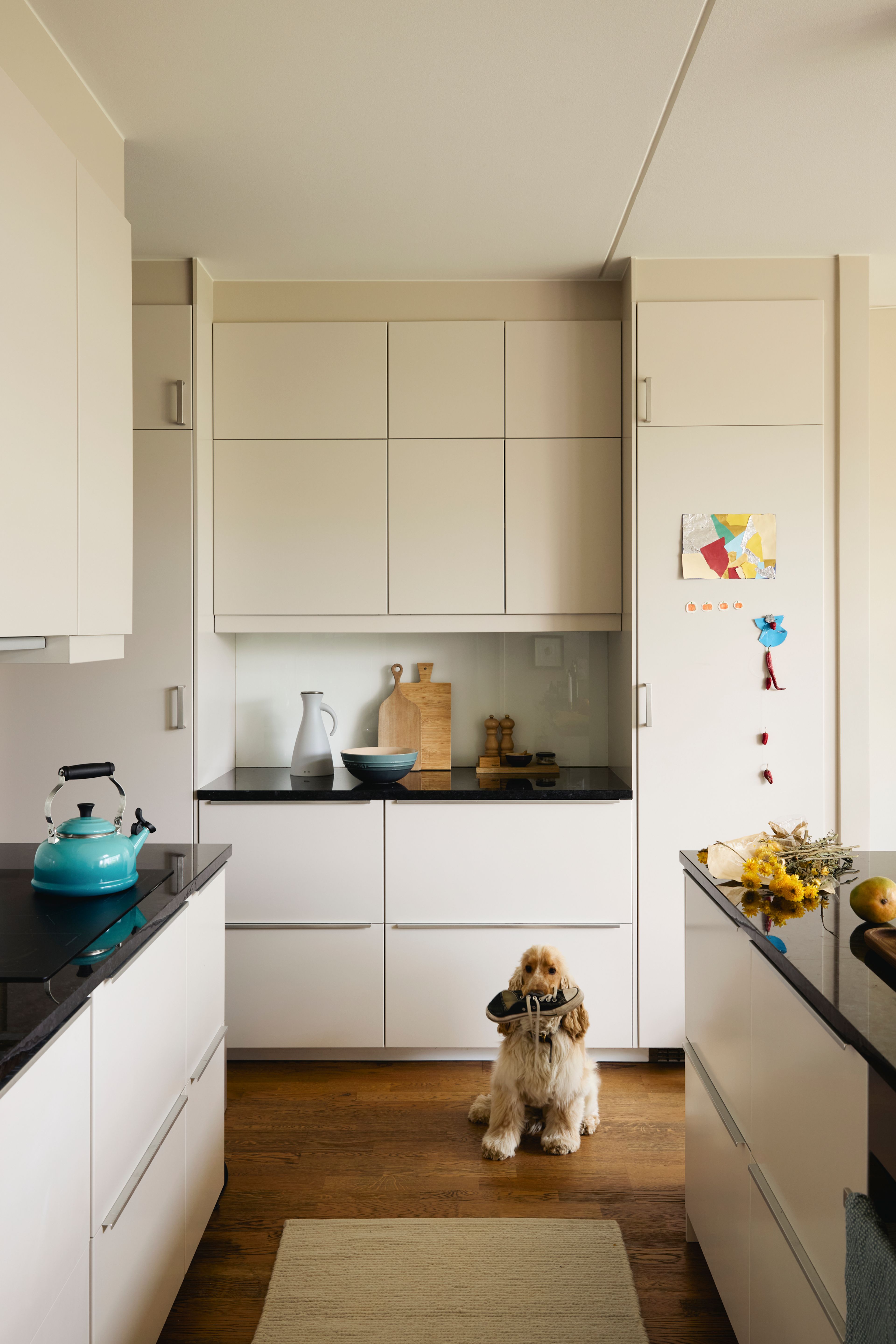 Bilde av kjøkkenet, hunden Miko står på gulvet.