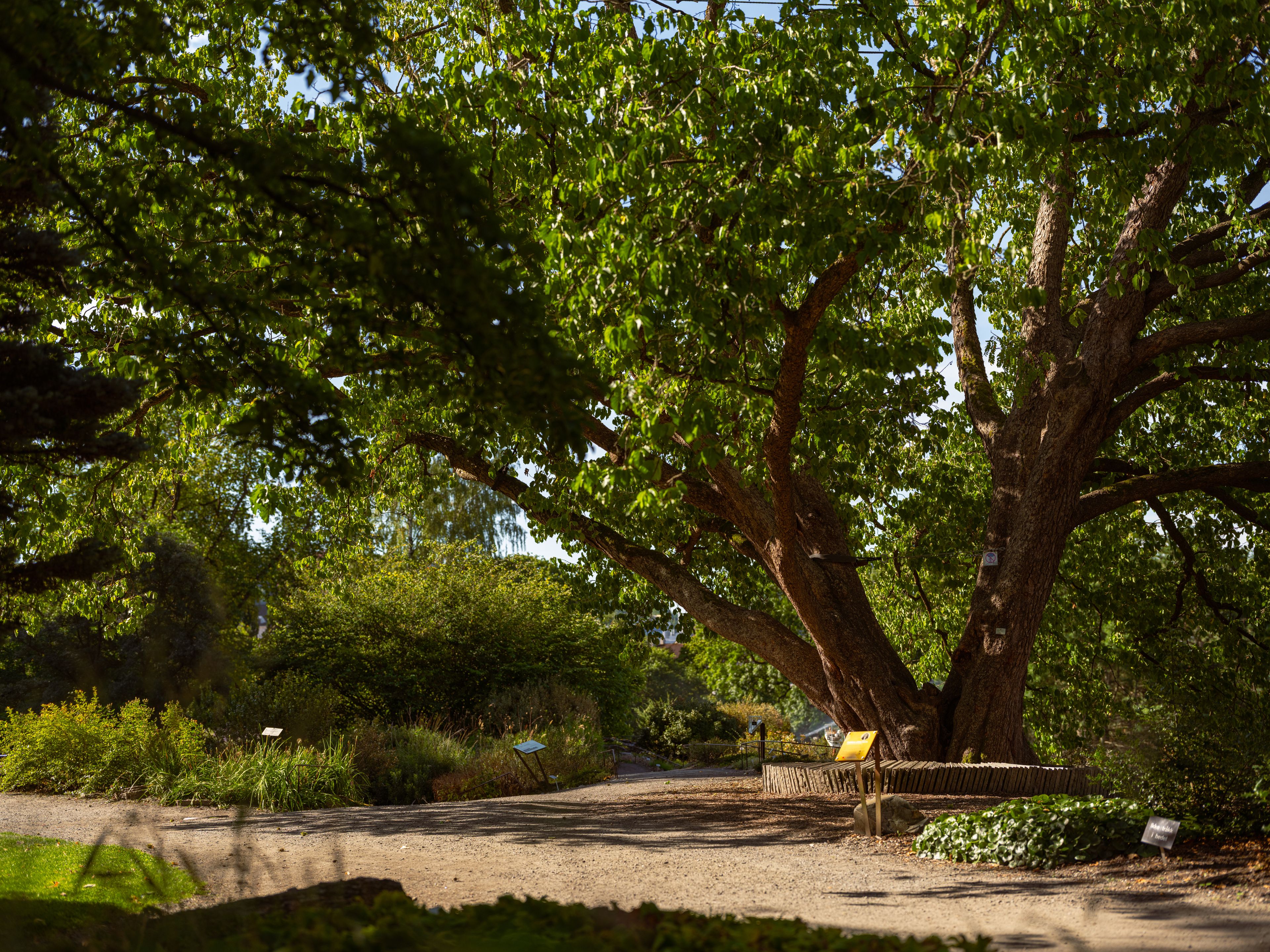 Ensjøkroken ligger med unik tilgang til noen av byens flotteste grøntområder.