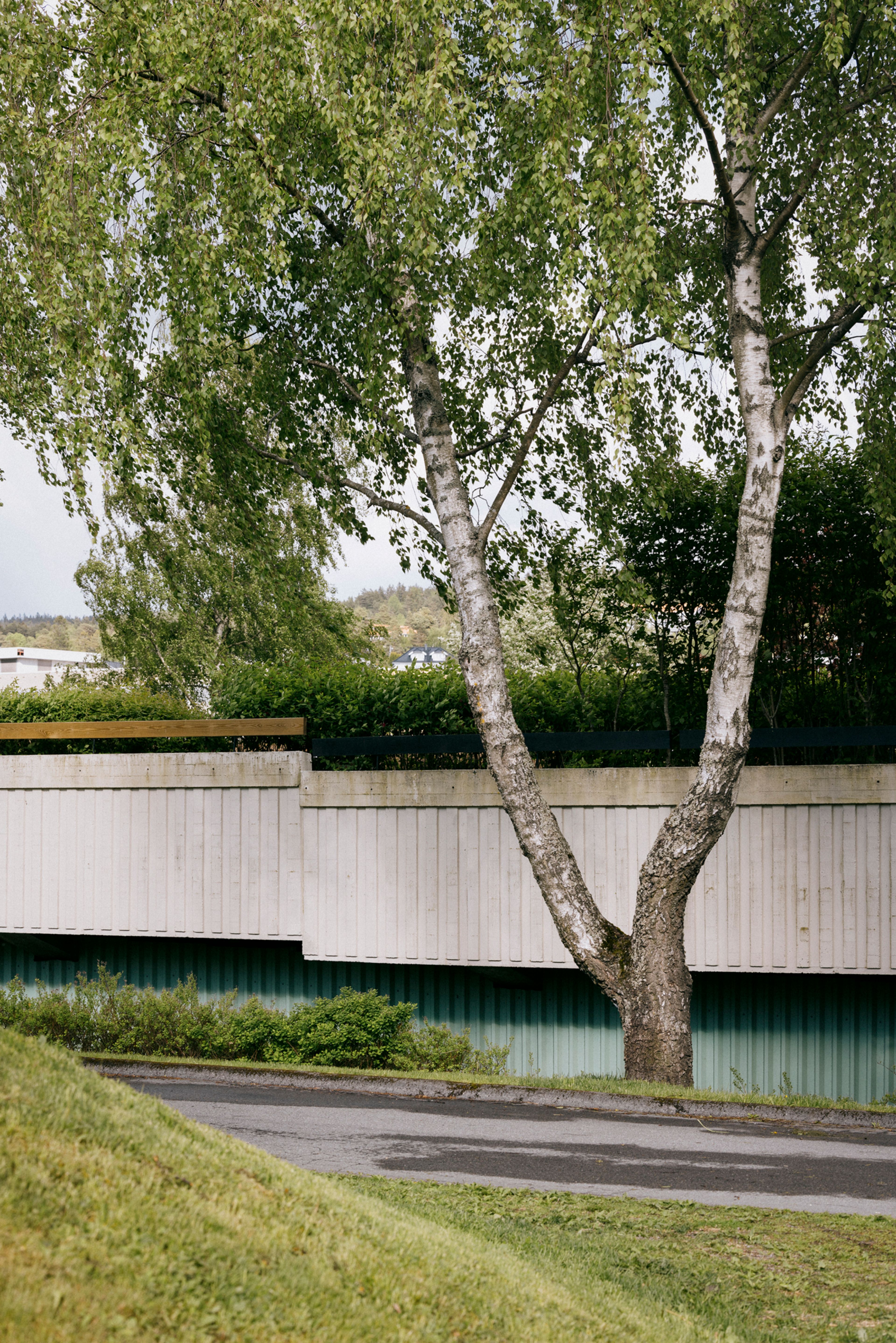 Gårdsrom på Tveita med et tre og gjerde i bakgrunnen.