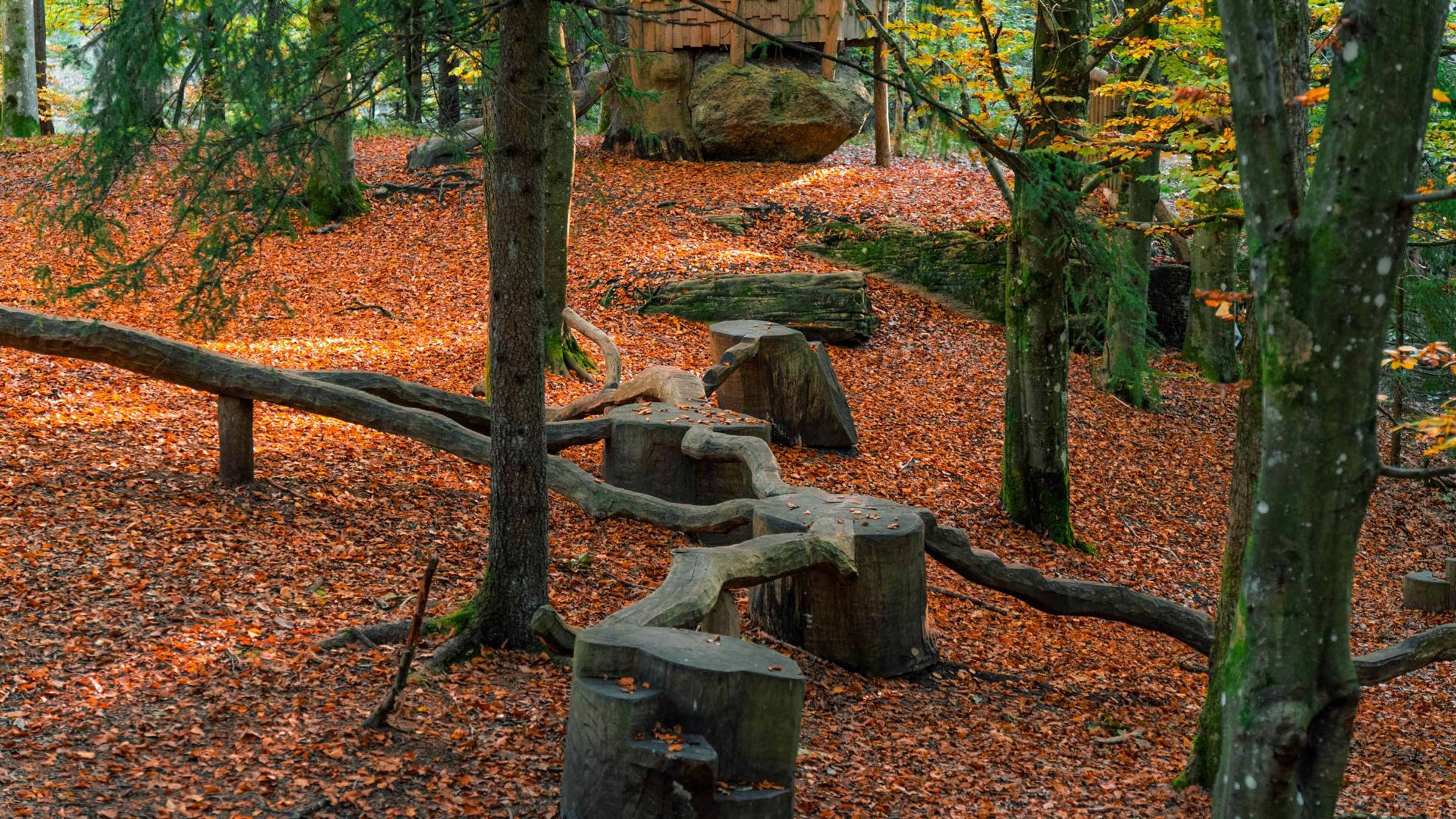 Skogsleken Wendelsberg hinderbana