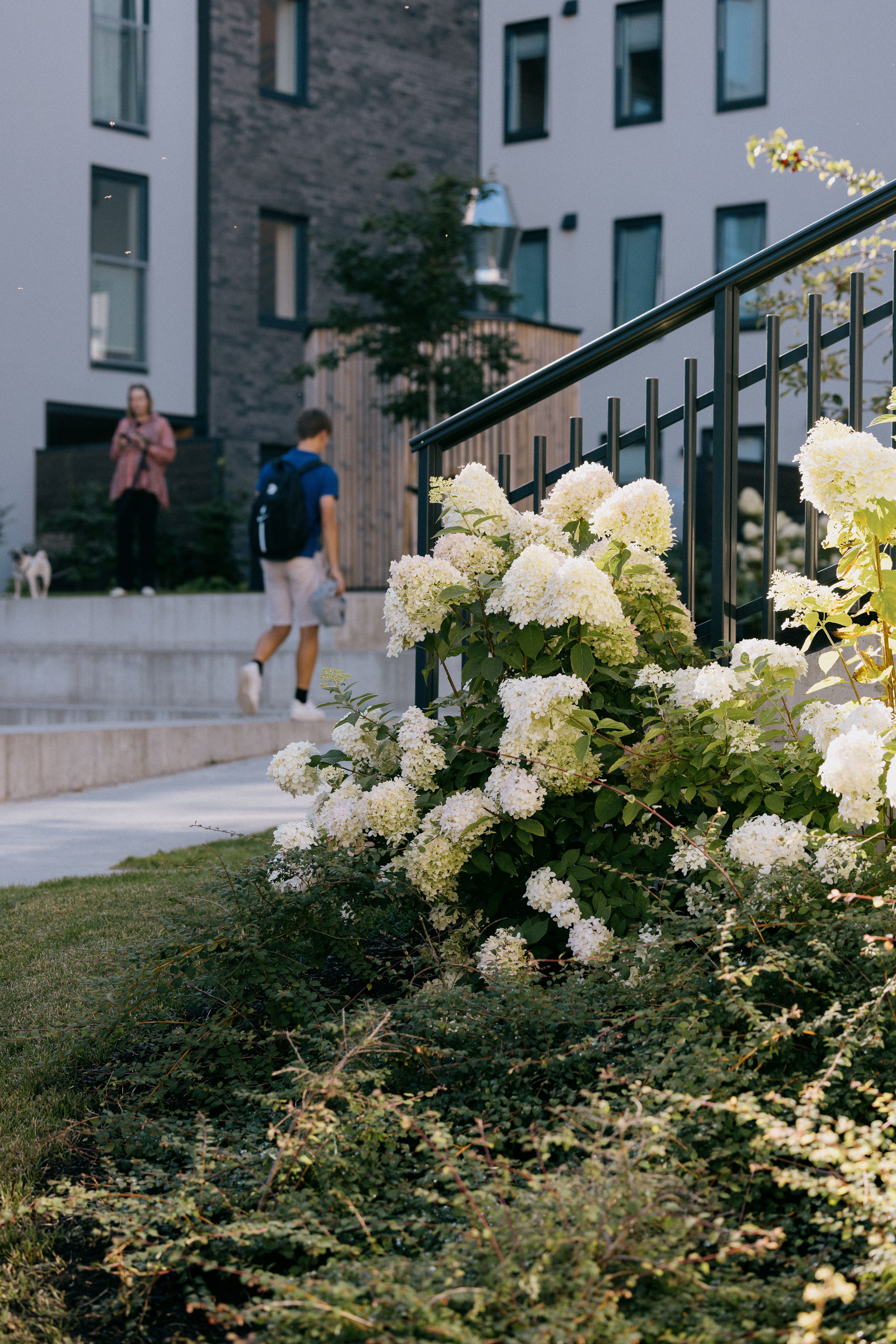To personer går forbi hverandre i et gårdsrom i Frysjaparken. Blomster i fogrunnen.
