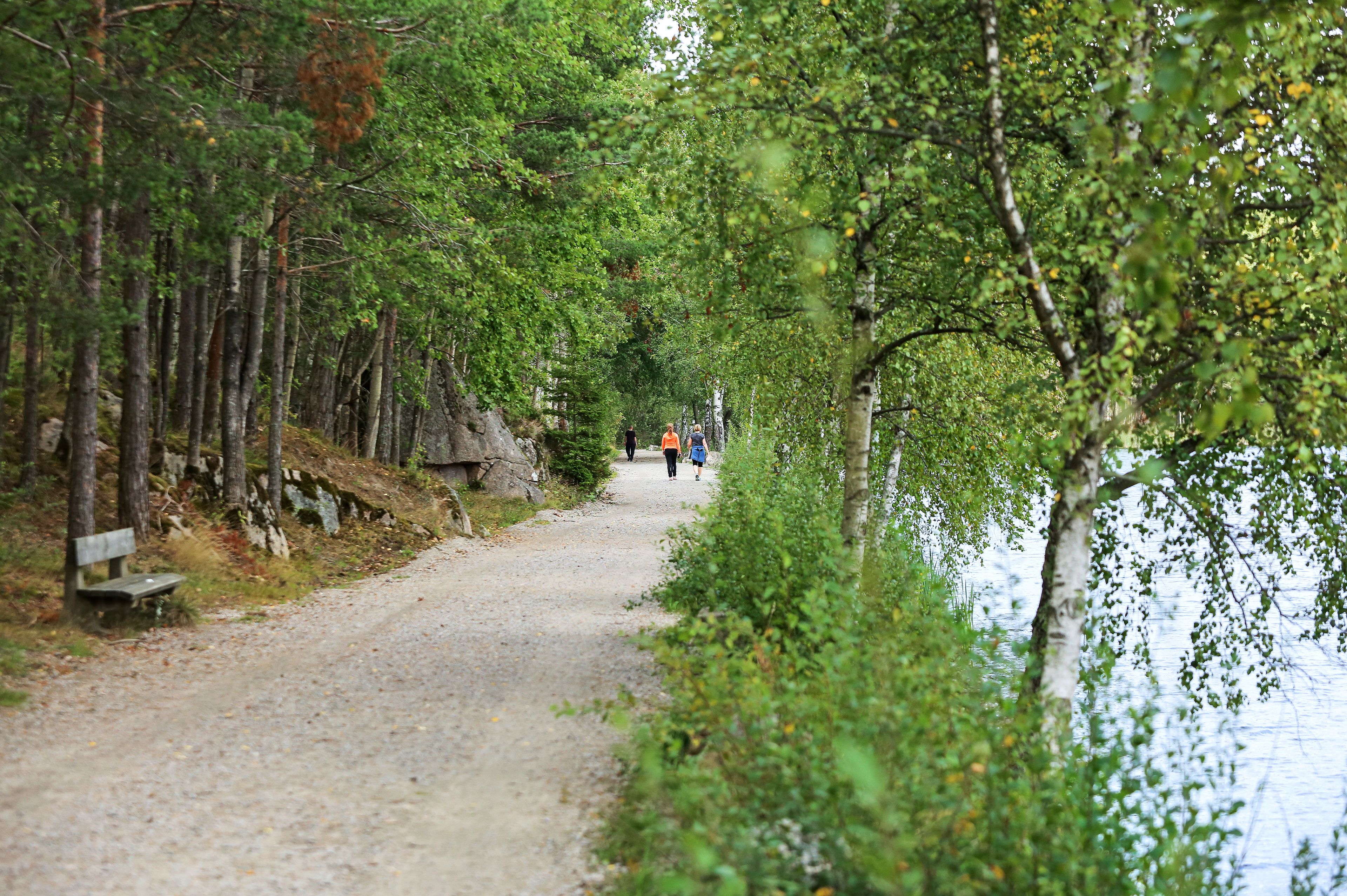Tursti langs vannet ved frodige Dammene.