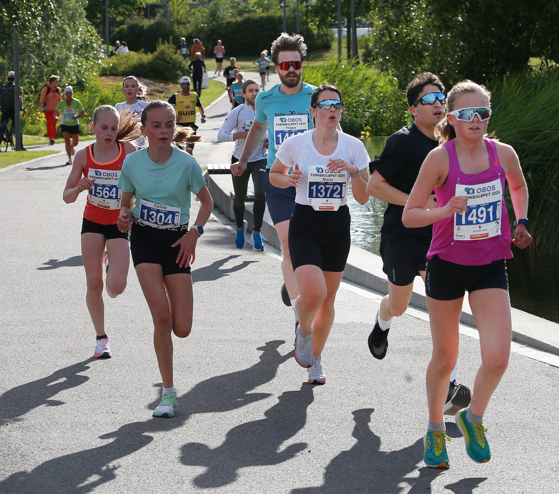 Foto av en gjeng spreke løpere som løper under Fornebuløpet i sola.
