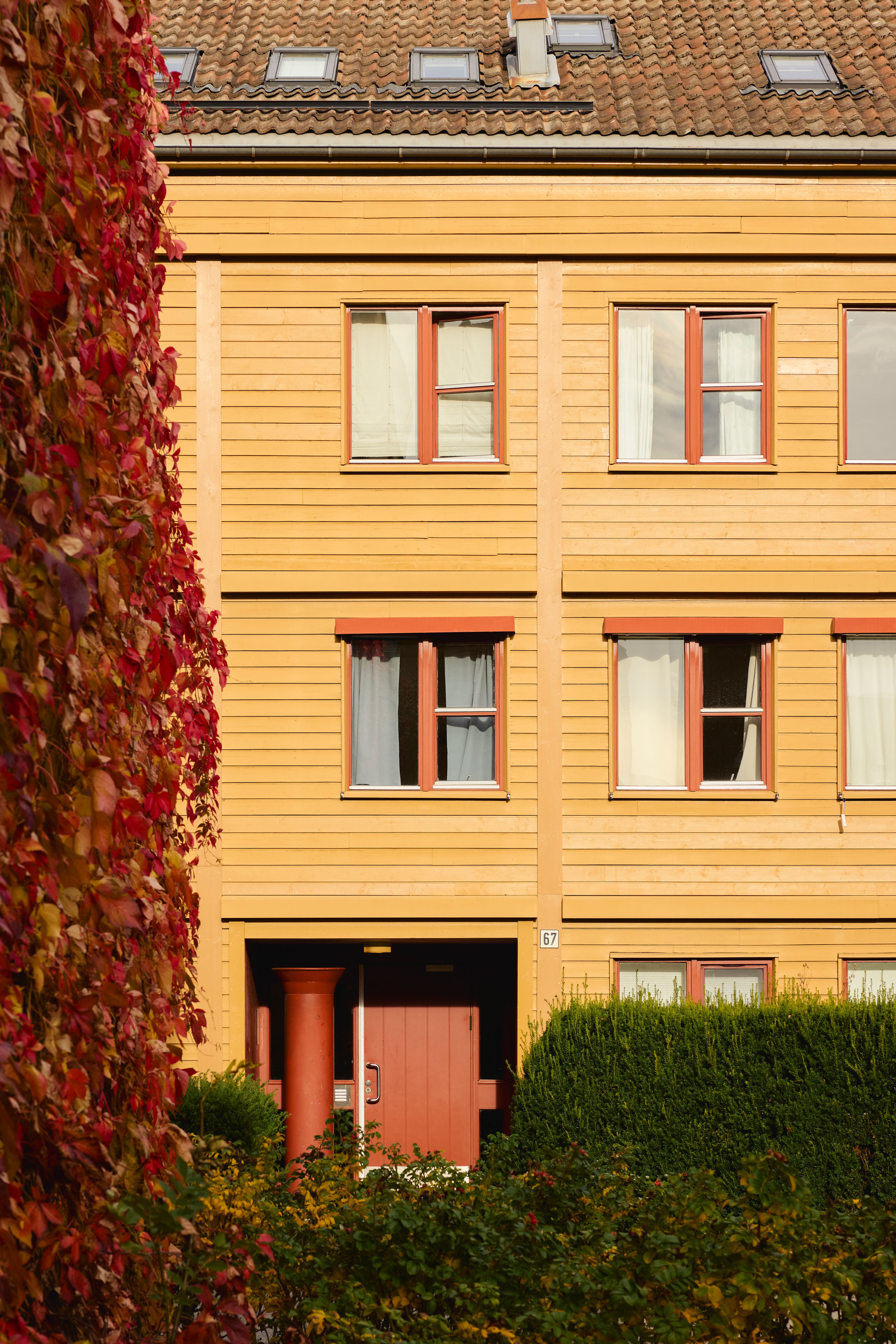 Bilde av den gule fasaden av blokka.