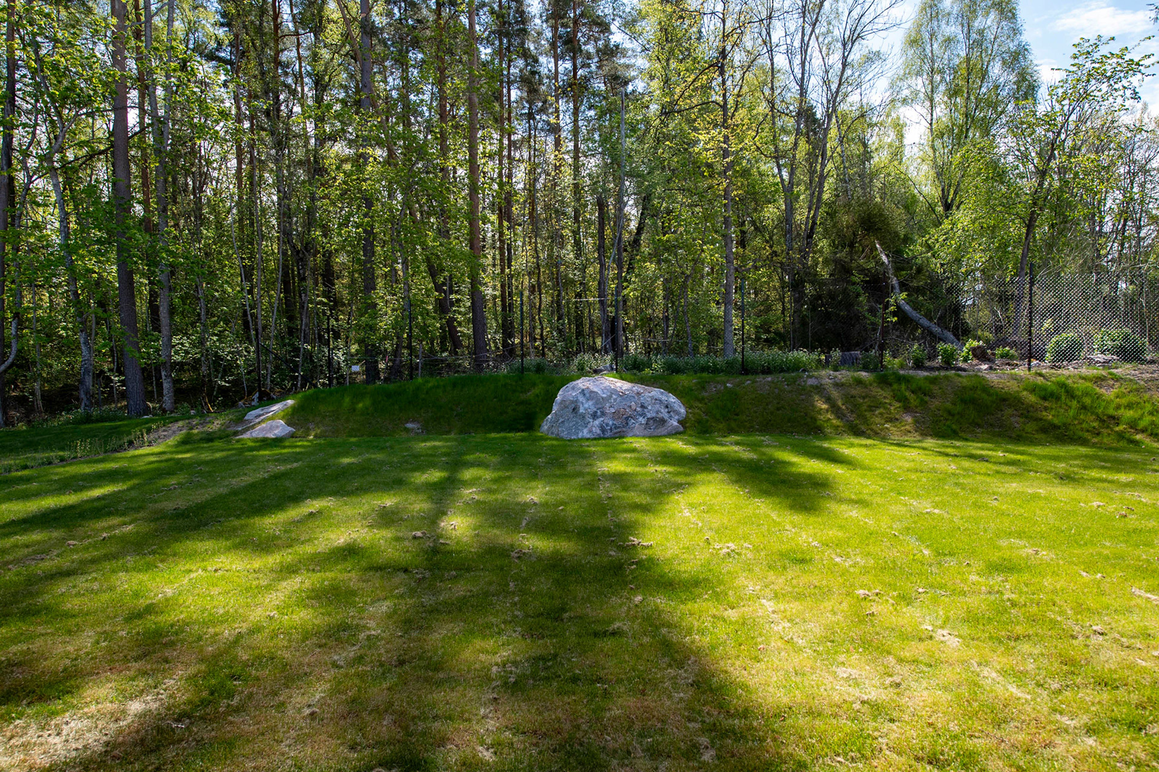 Baksida med gräsmatta och utsikt mot skog