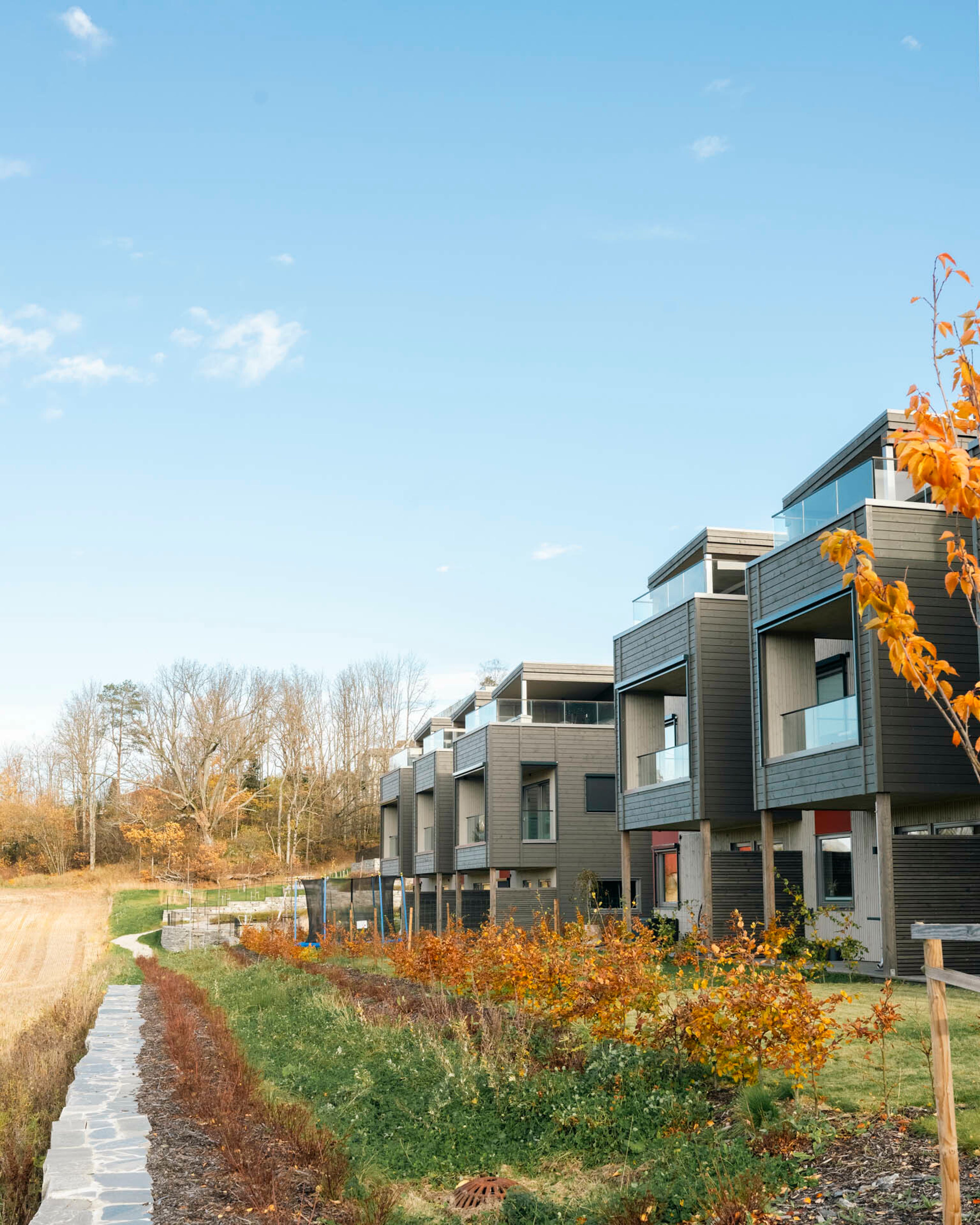 Foto av hagesiden av rekkehus på Eikelijordet, bygget av OBOS Block Watne