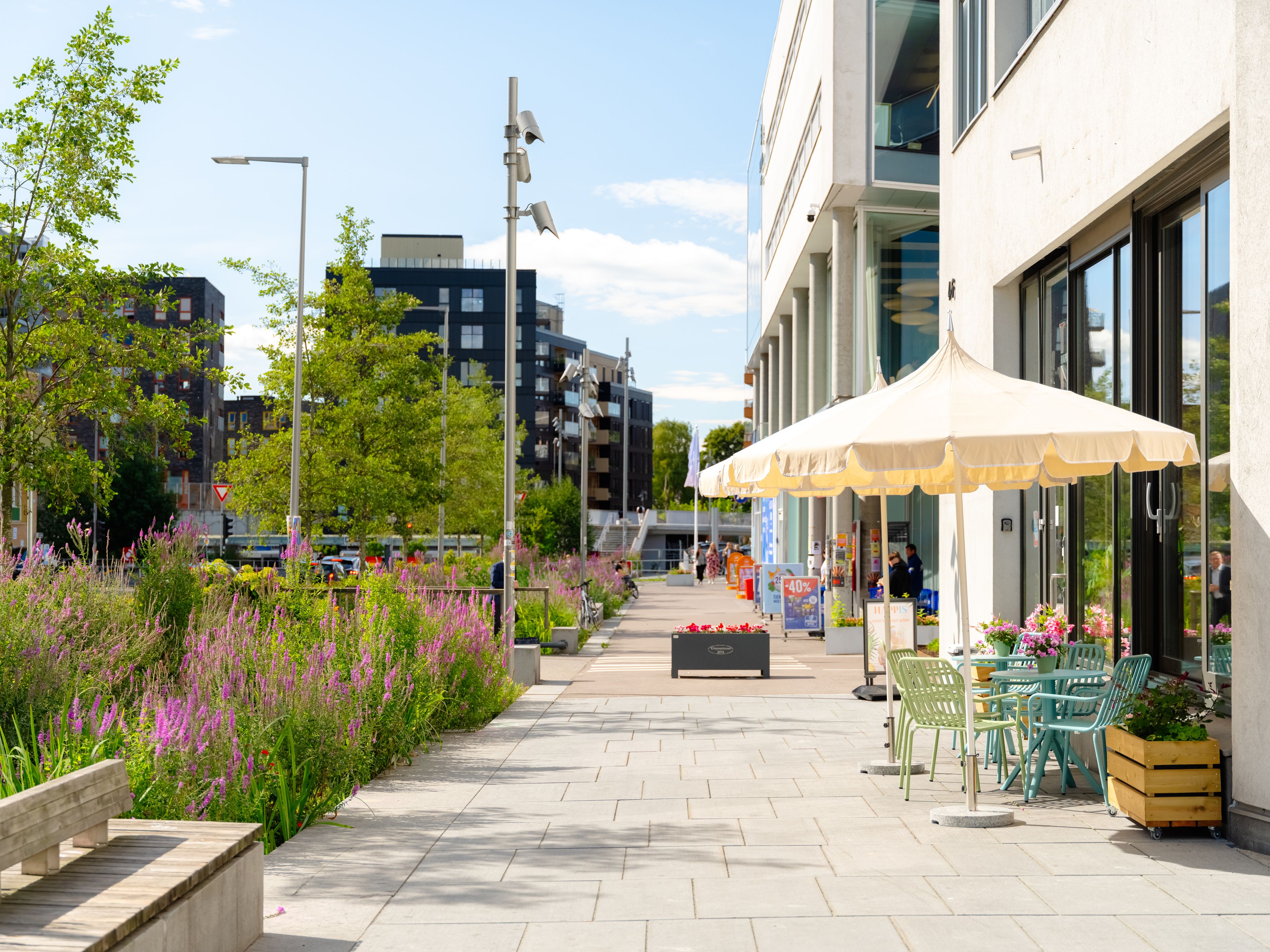 Illustrasjonsbilde av Ensjø.