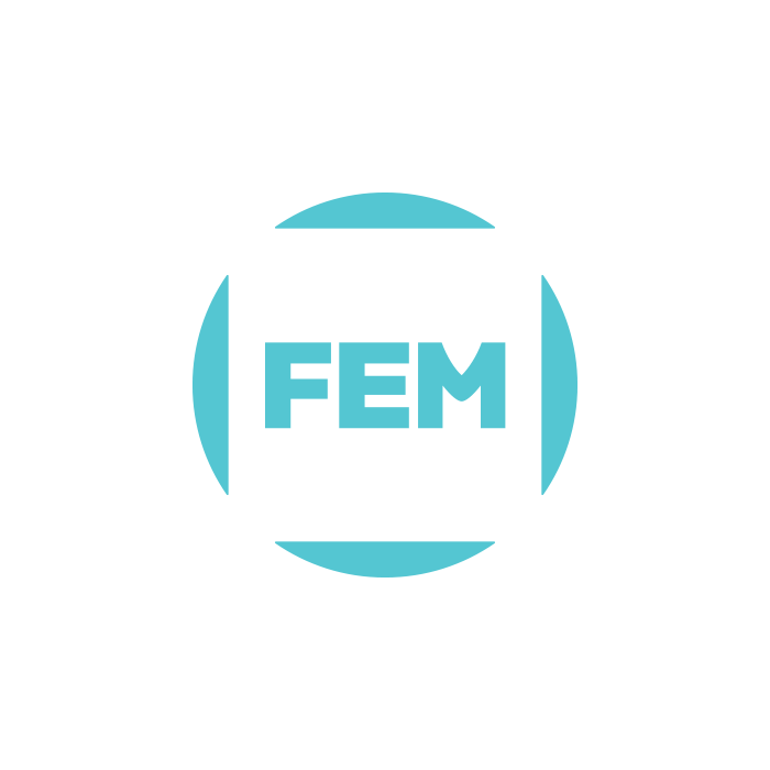 FEM