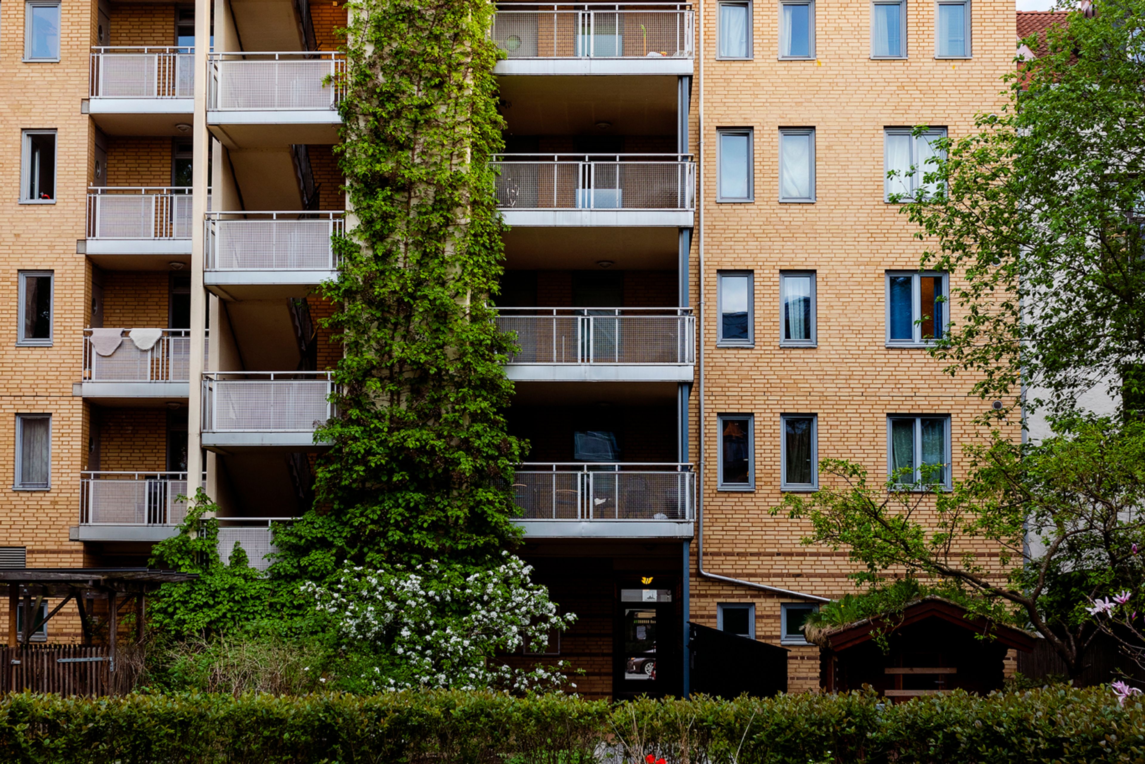 Bilde av fasade og hage i Byhagen borettslag.