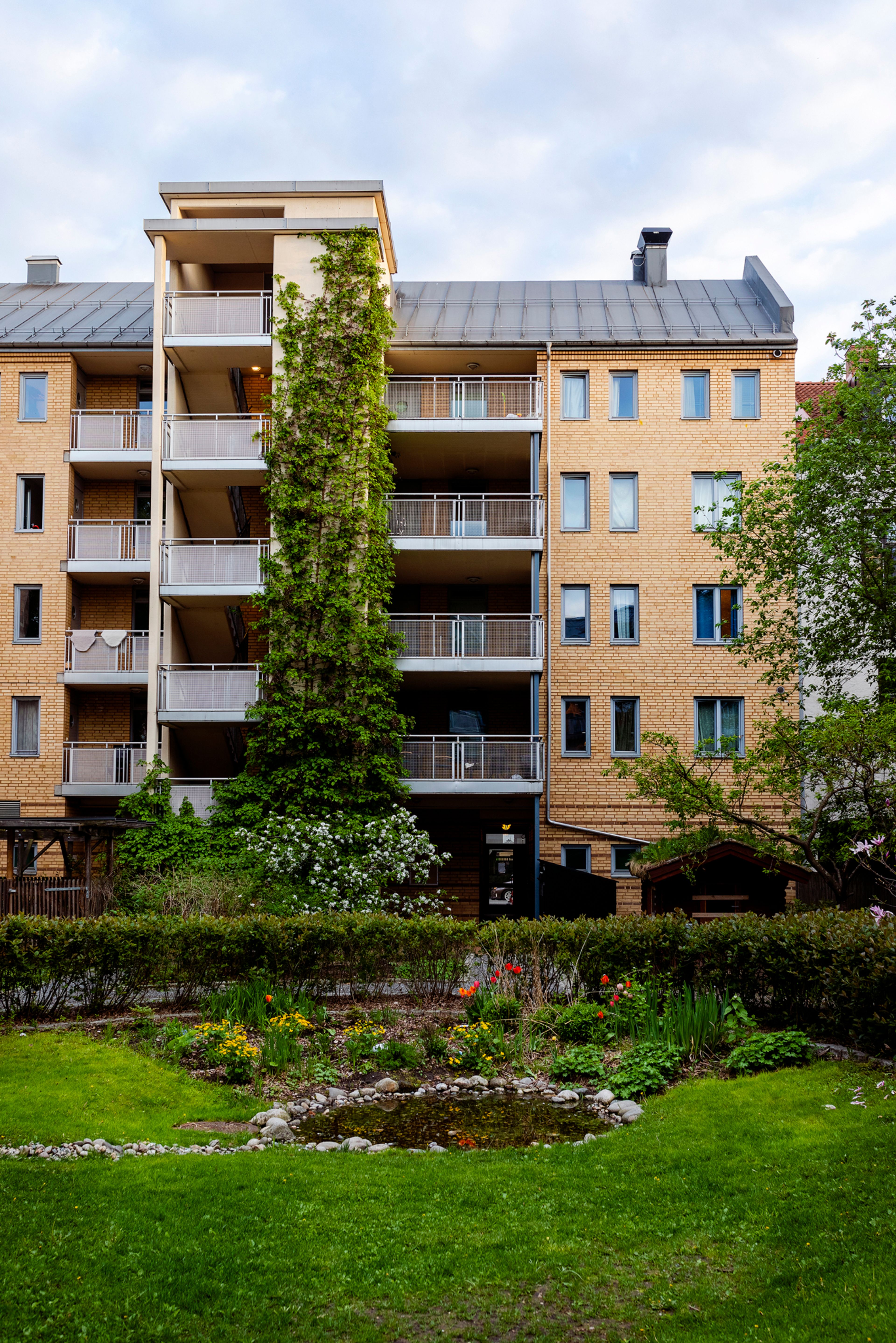 Bilde av deler av hagen i Byhagen borettslag og noe fasade.