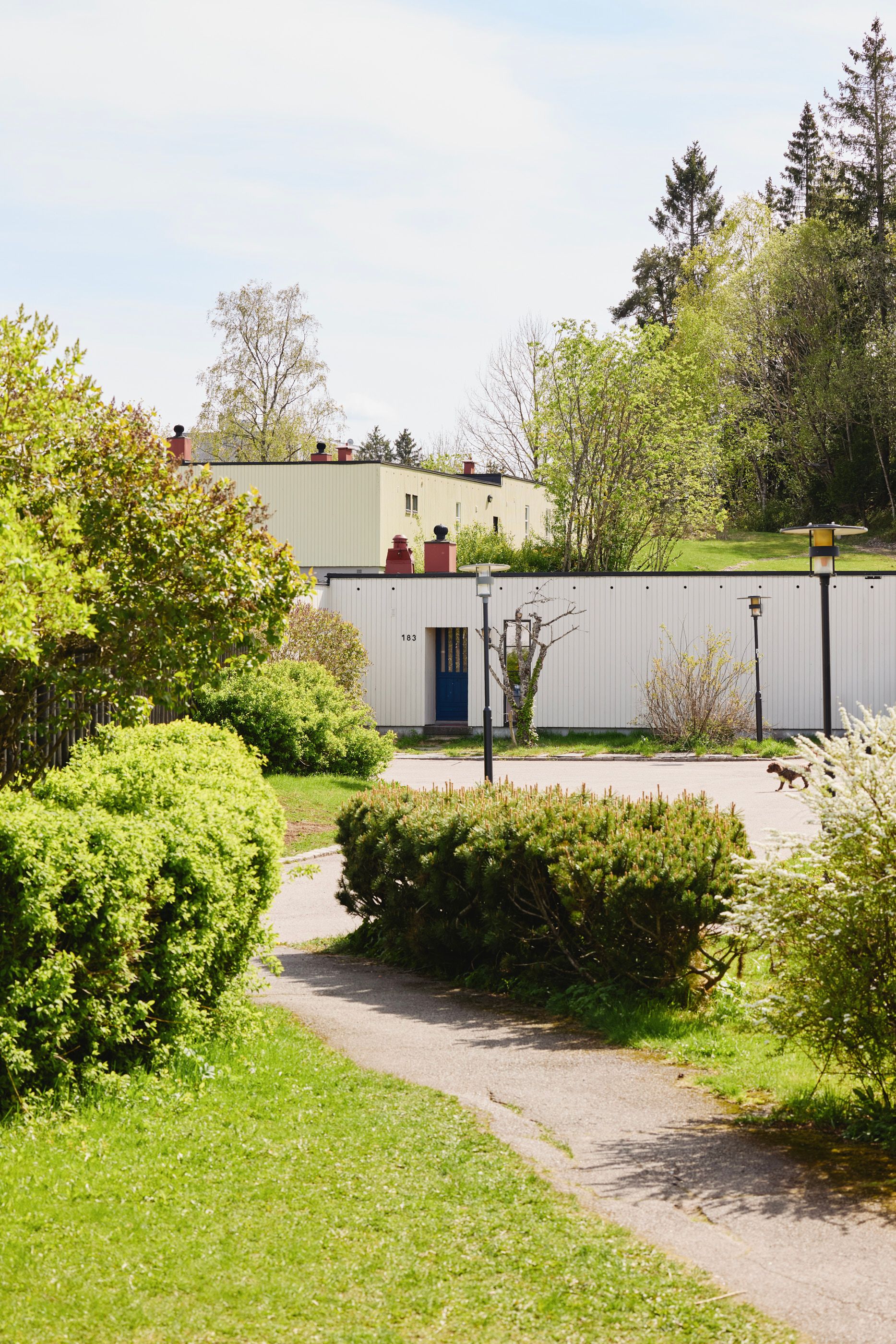 Rekkehus omgitt av grønt gress, busker og trær på en solrik dag