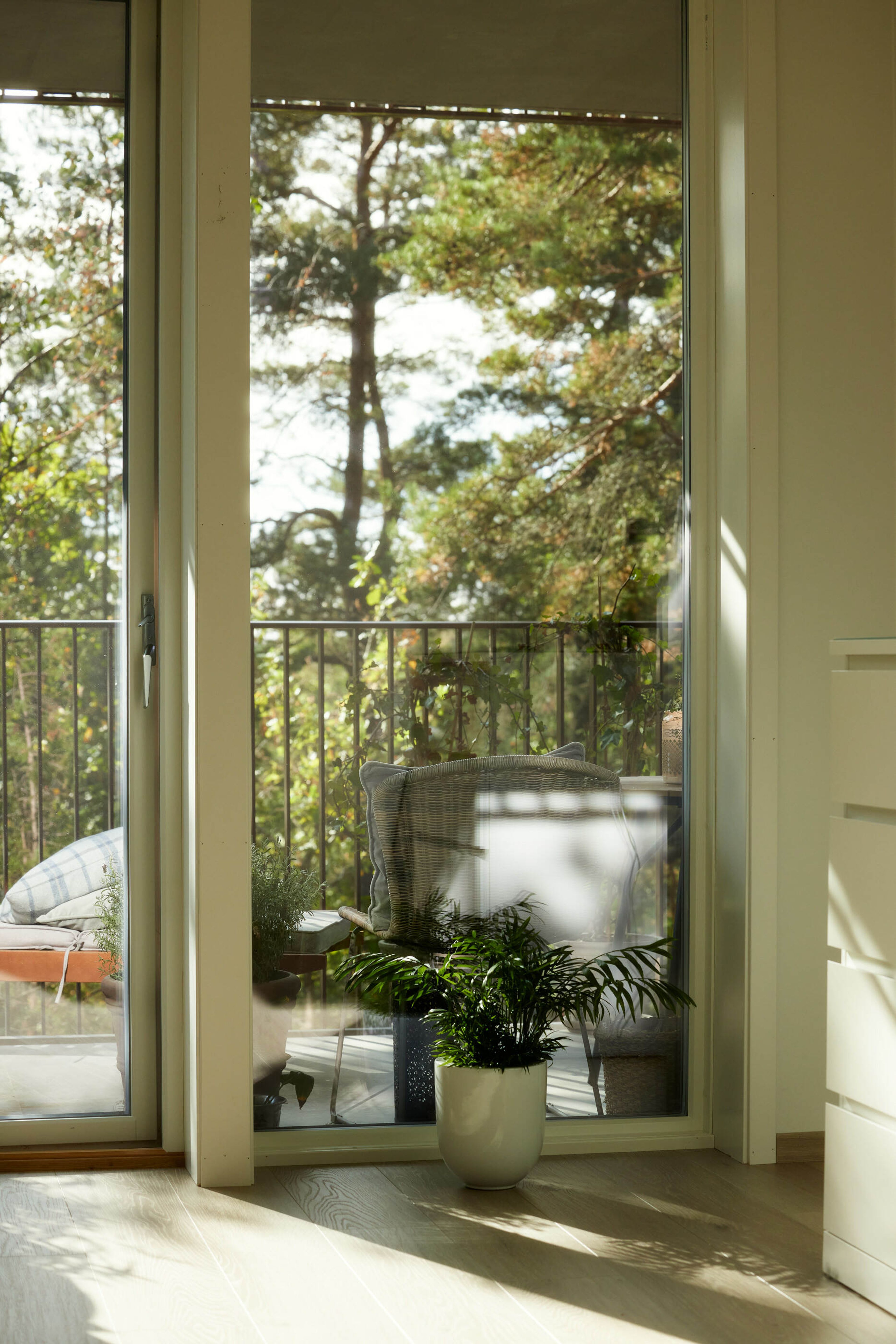Utsikt til skogen fra Espens leiligehet