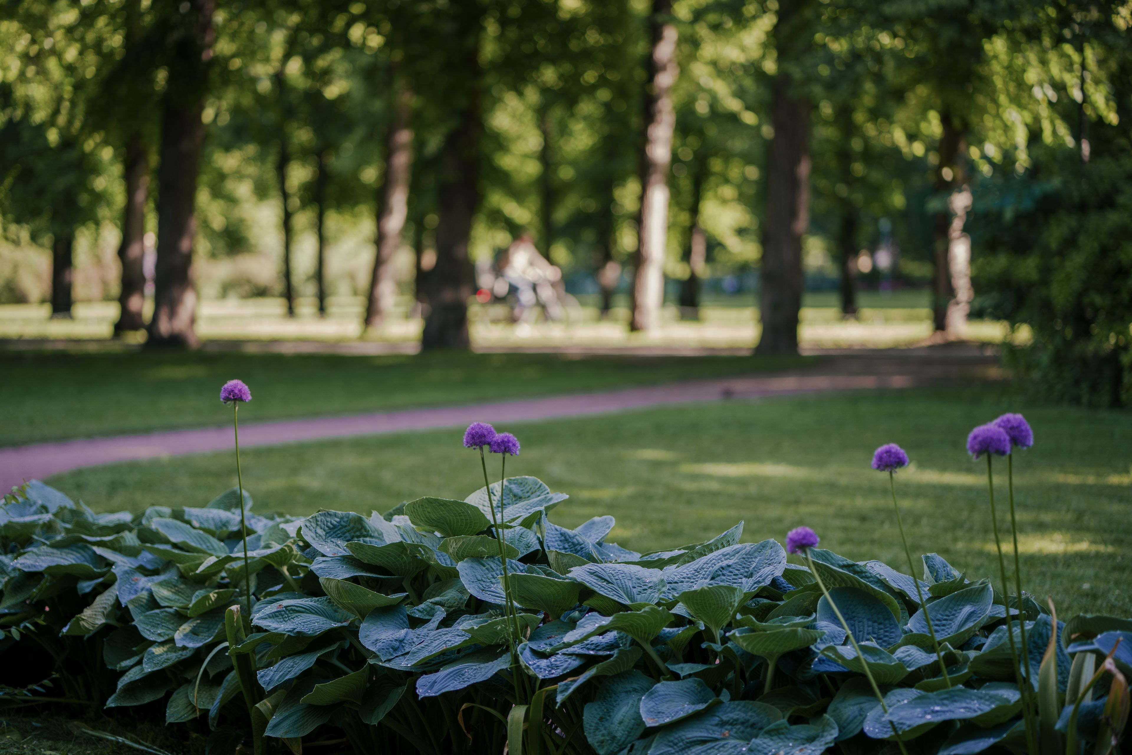 ONH_Frøen Hage_parkområde