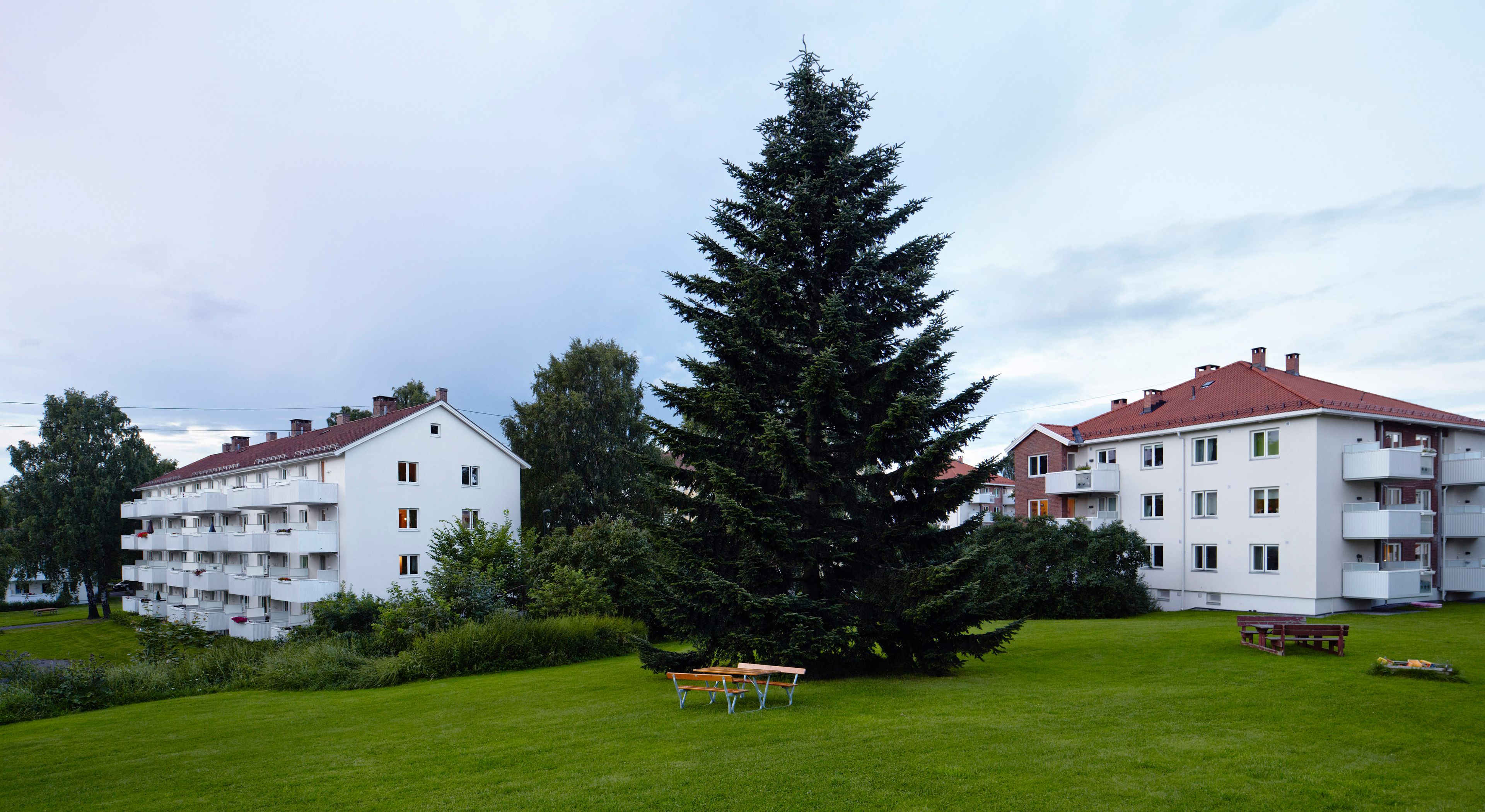 To hvite boligblokker i et parkområde