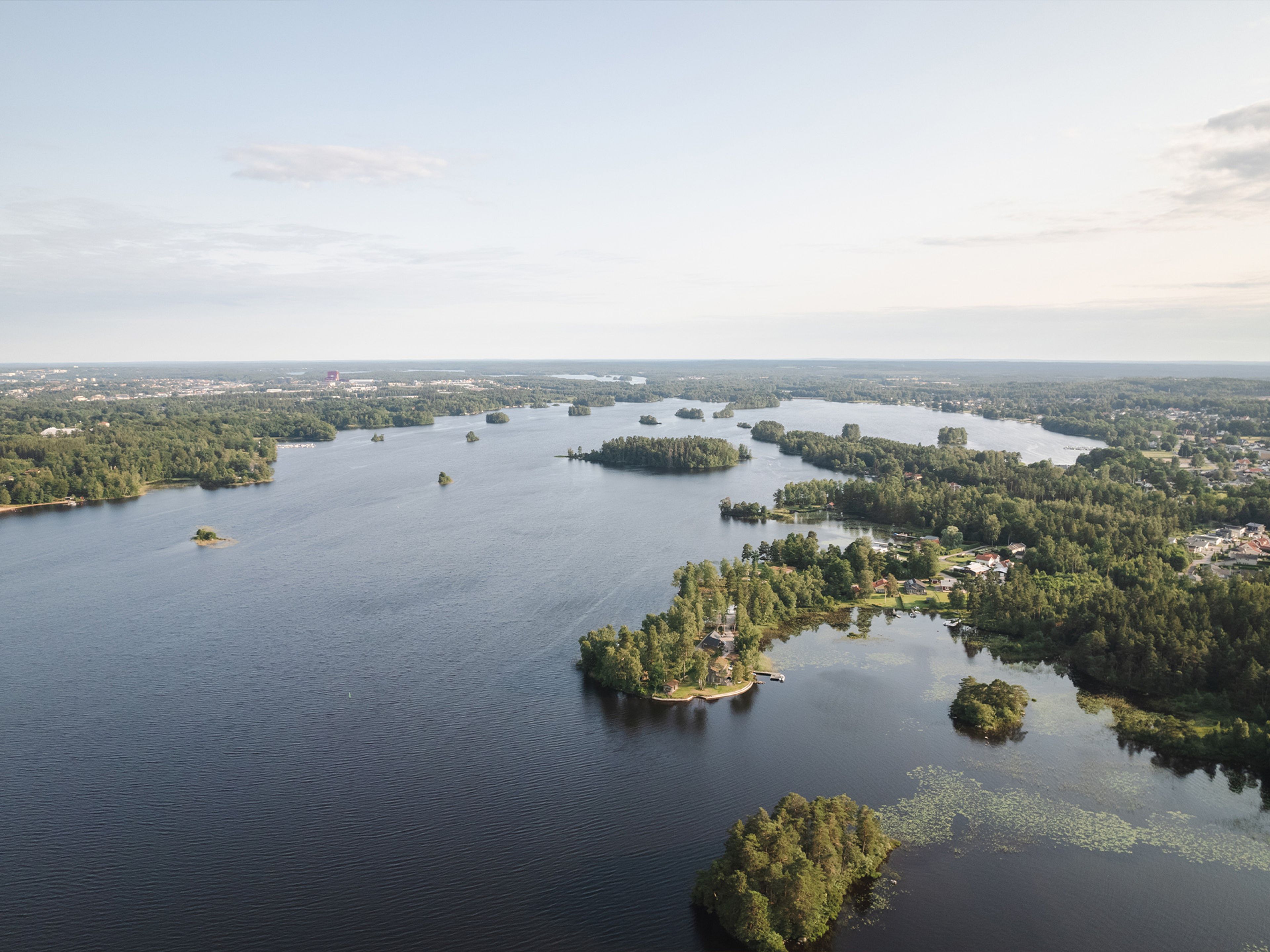 skog och vatten