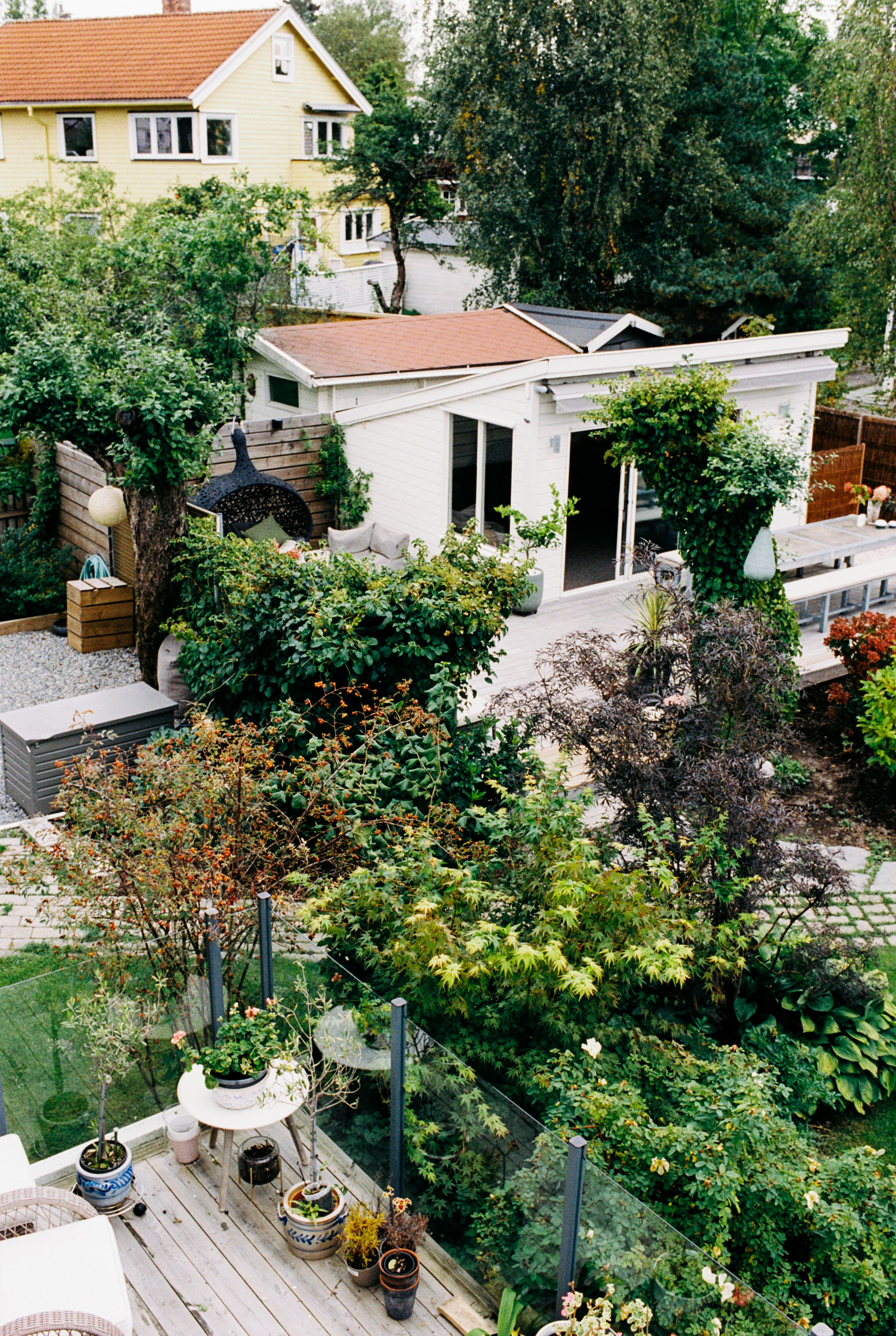 Et bilde av Camillas frodige hage.