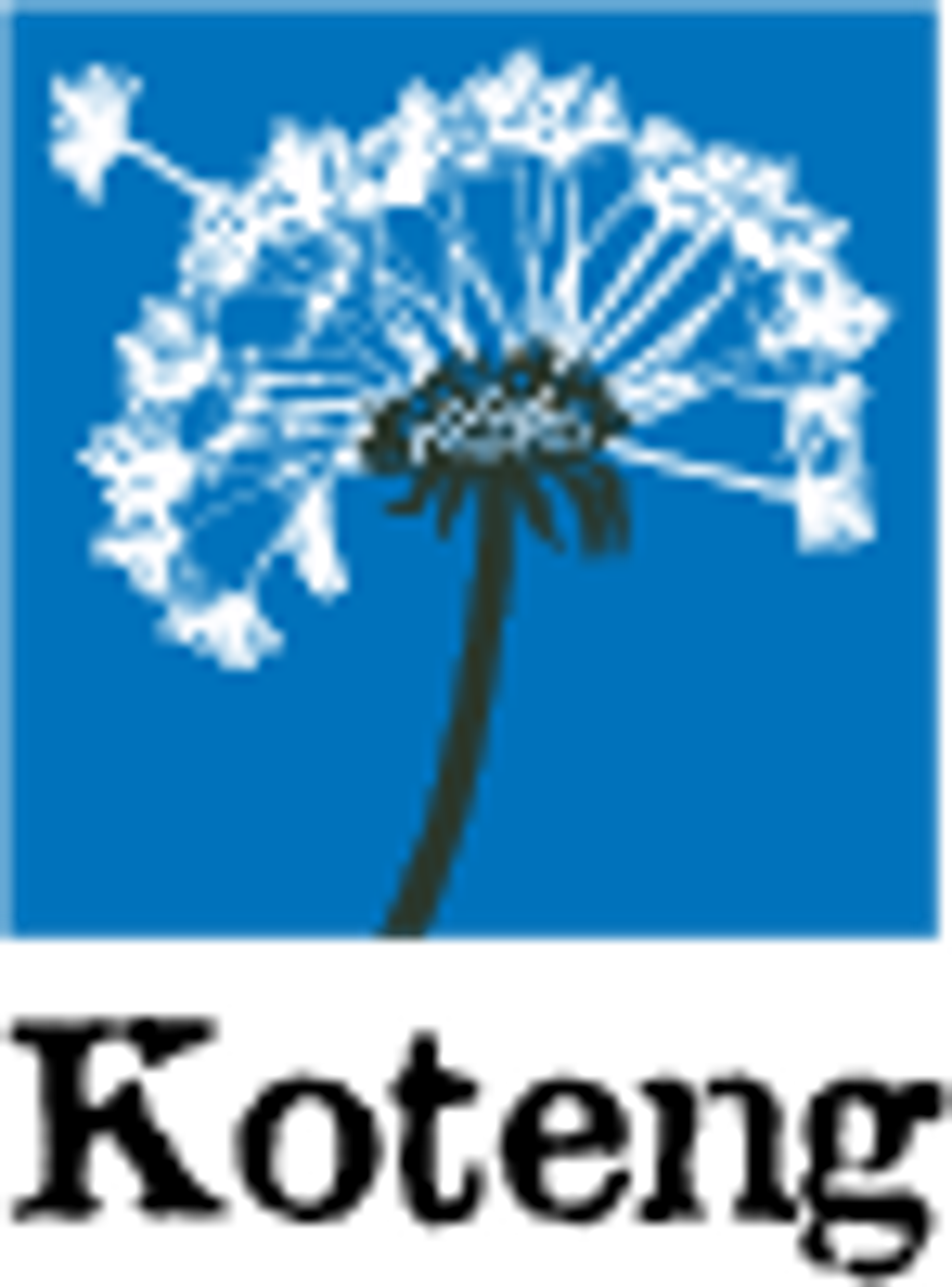 Koteng logo