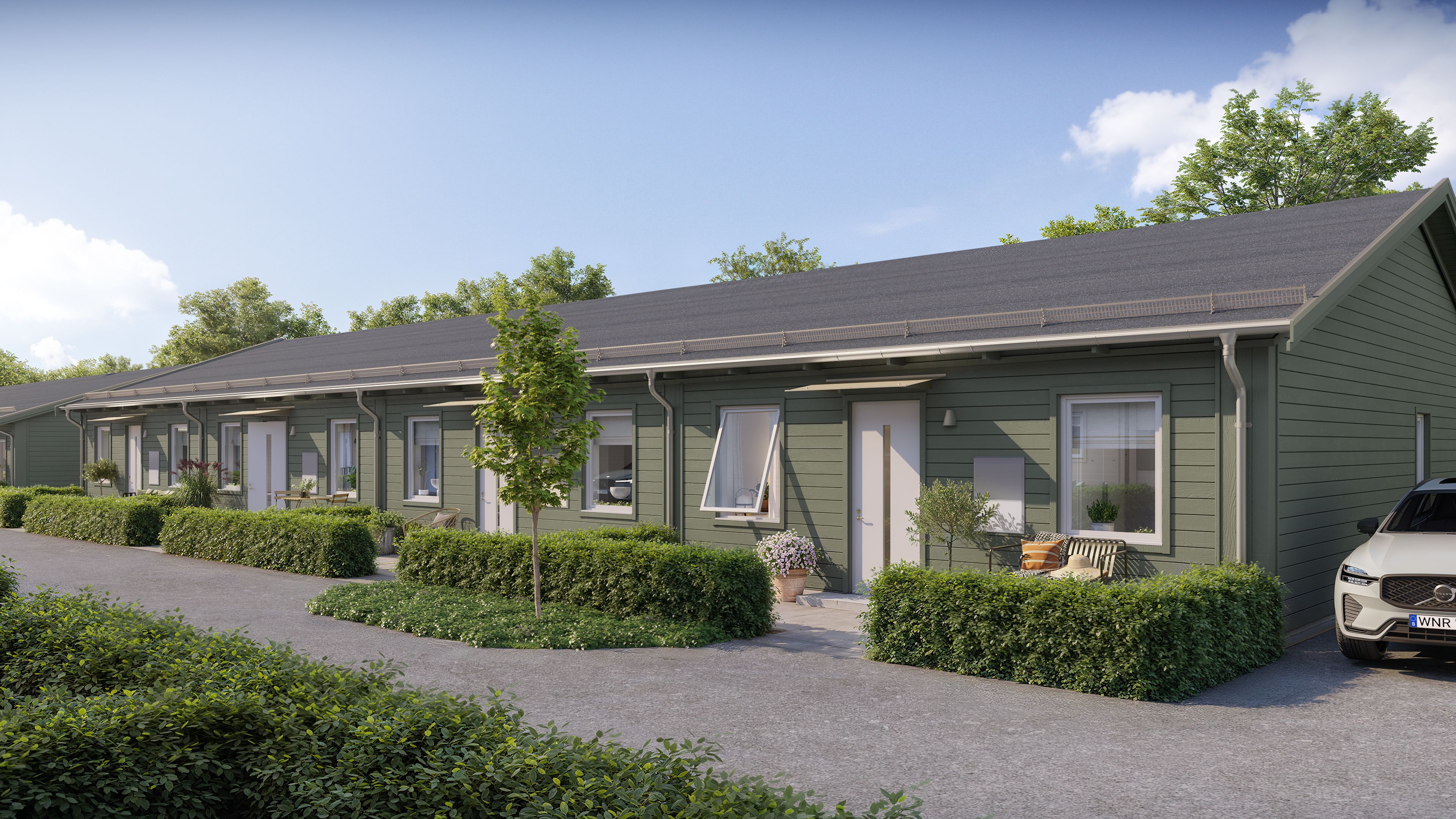 Framsida av radhus i ett plan med grön fasad och häck