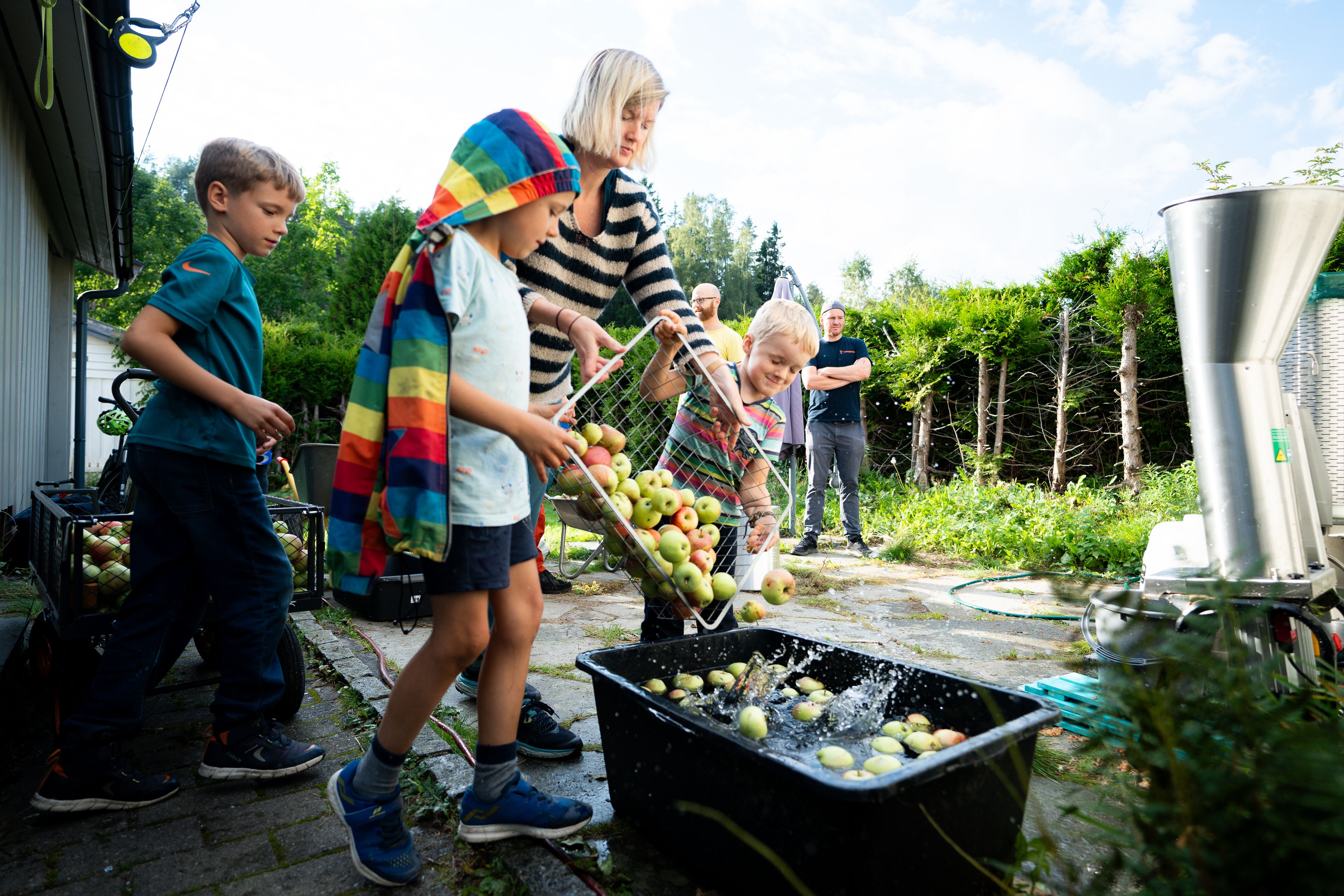 Tre barn og en kvinne står i en hage og heller epler fra en kurv oppi et kar med vann