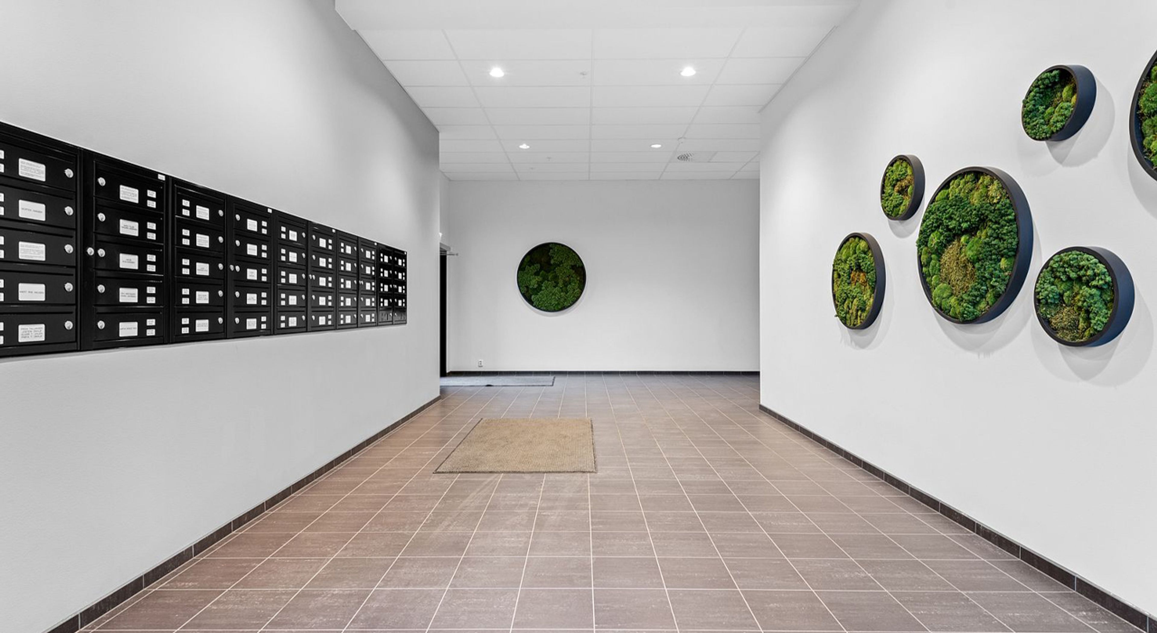 Hall på Ulven T.