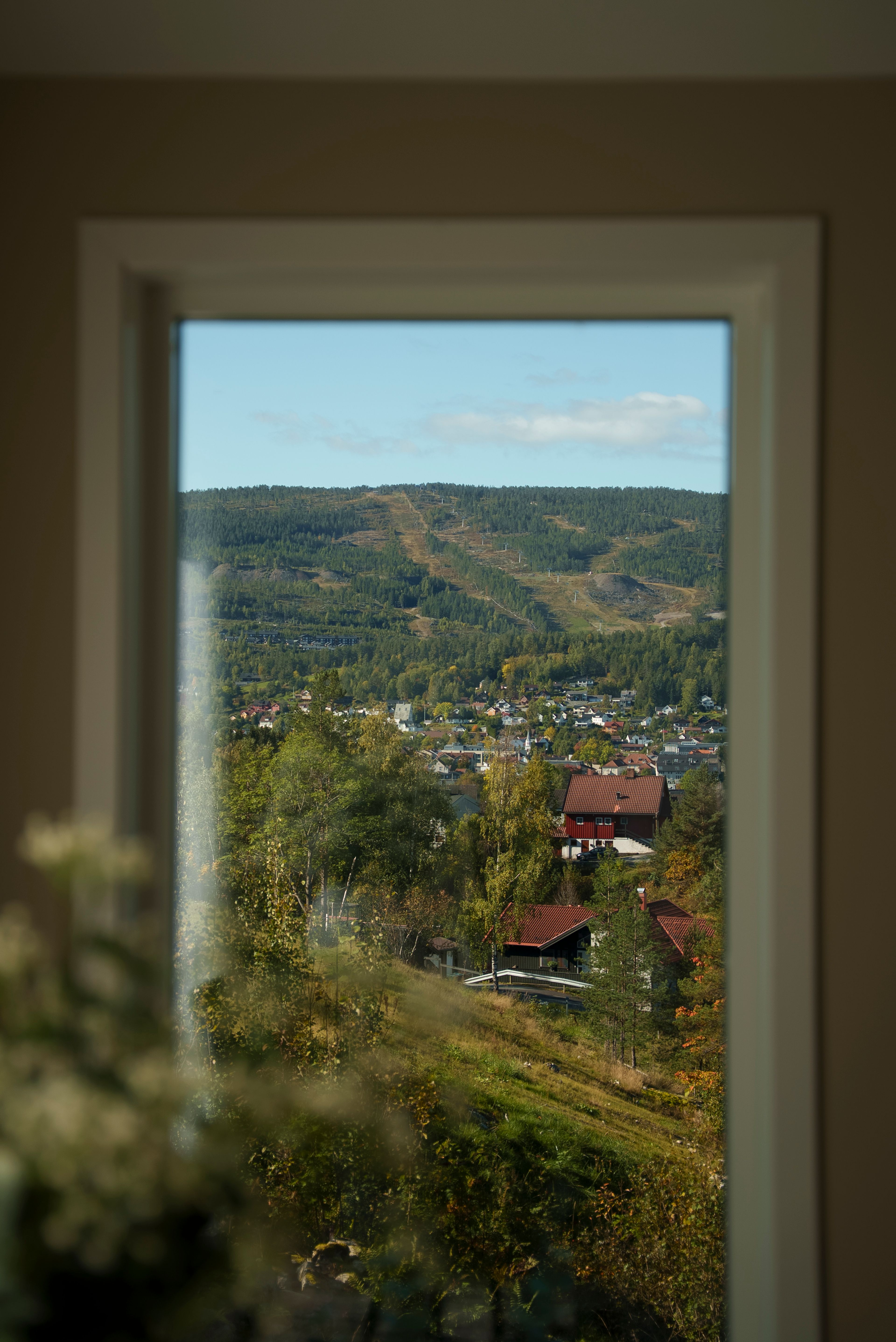 Bilde av utsikt over et grønngult høstlandskap fra et lite vindu