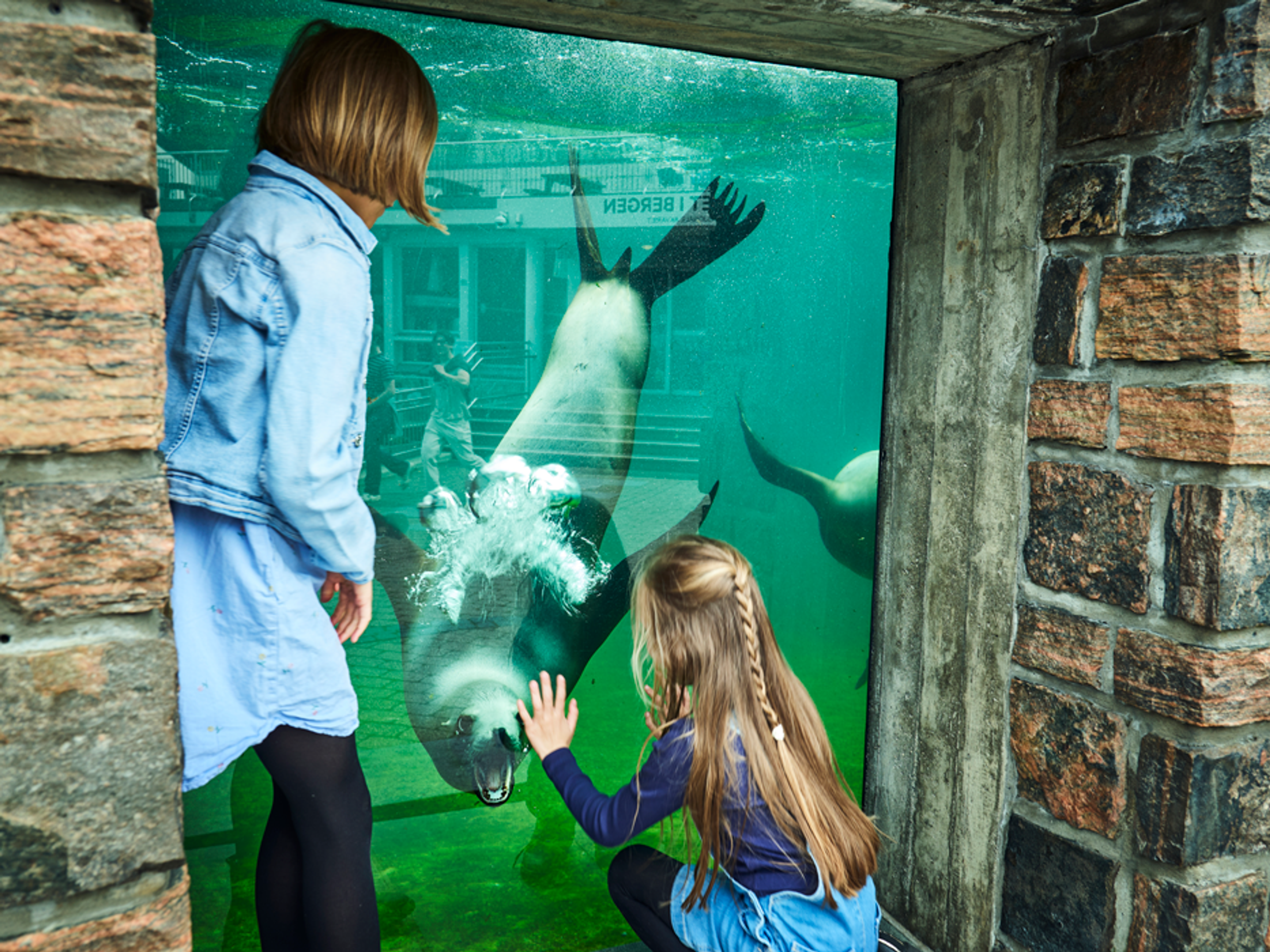 Bild på akvariet i Bergen