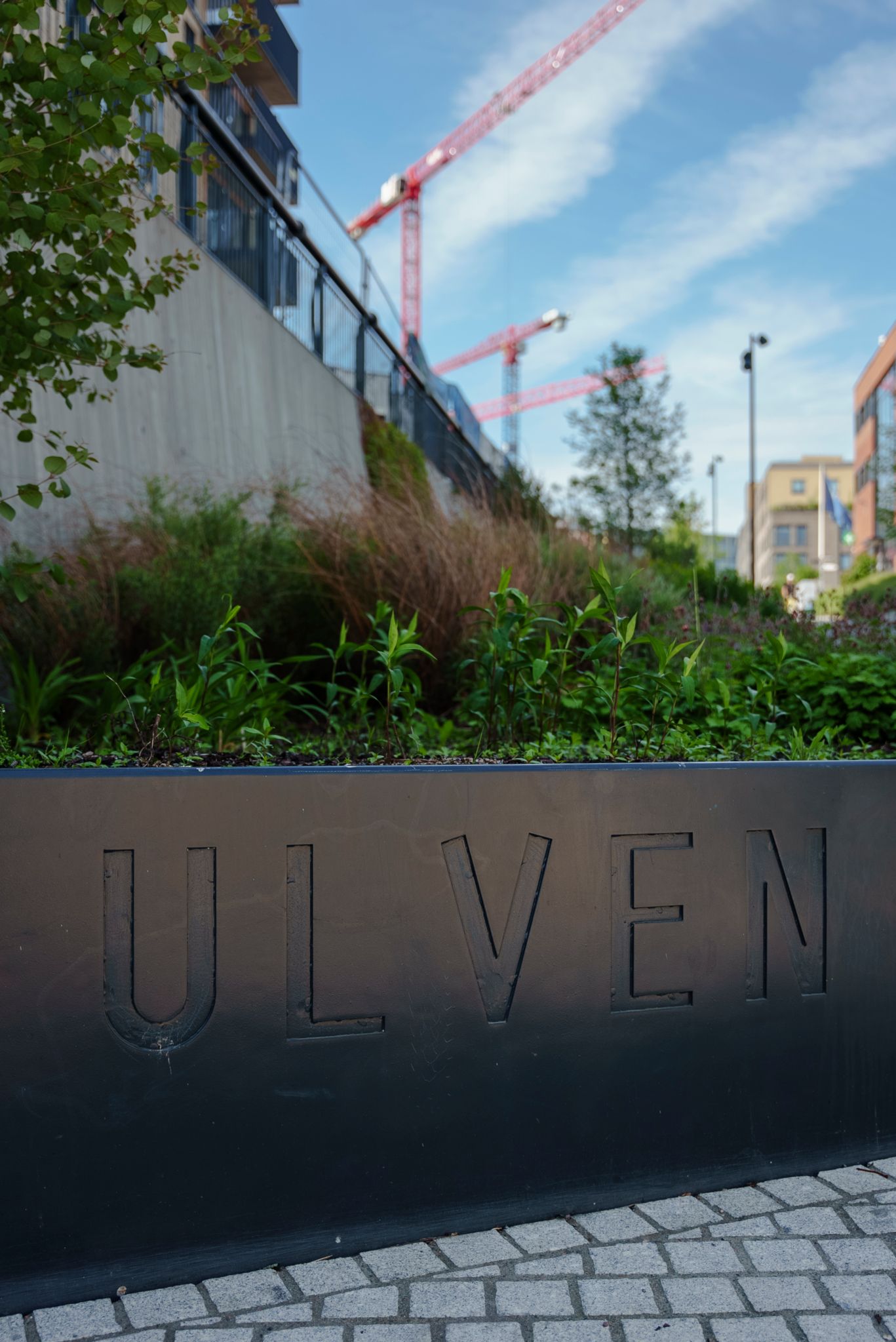 Et nærbilde av en glatt steinhelle med Ulven hugget inn i siden. I bakgrunnen synes heisekraner.