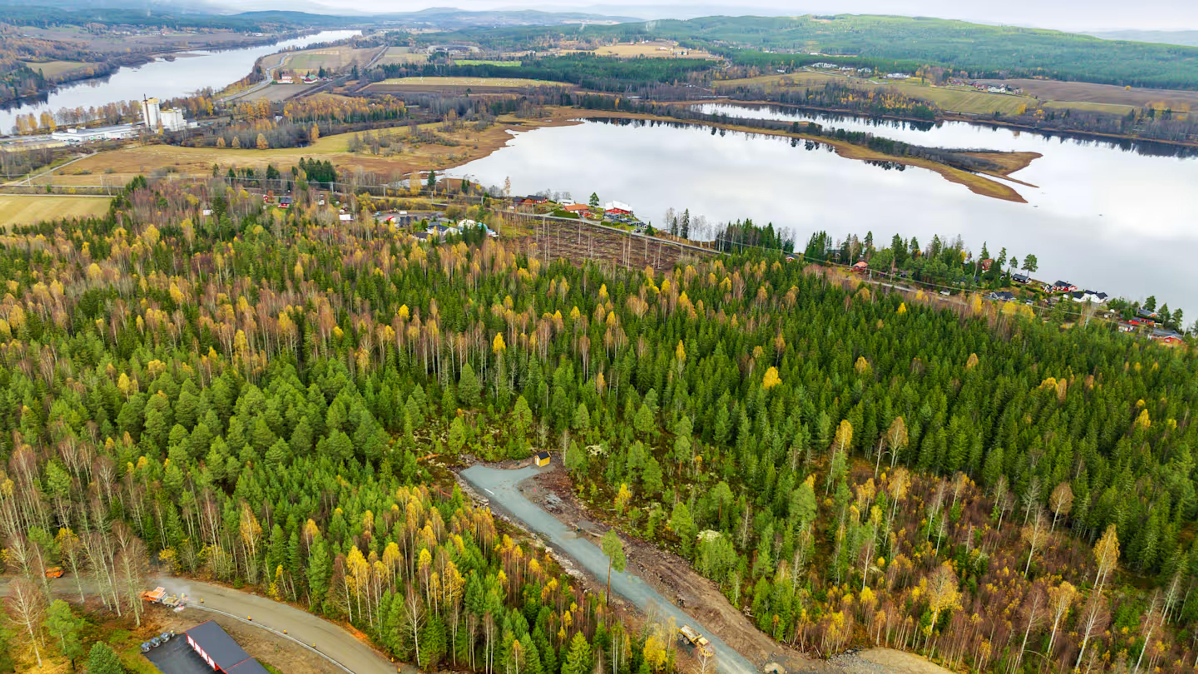 Nærområdet rundt tomtene, med Vingersjøen i bakgrunnen.


