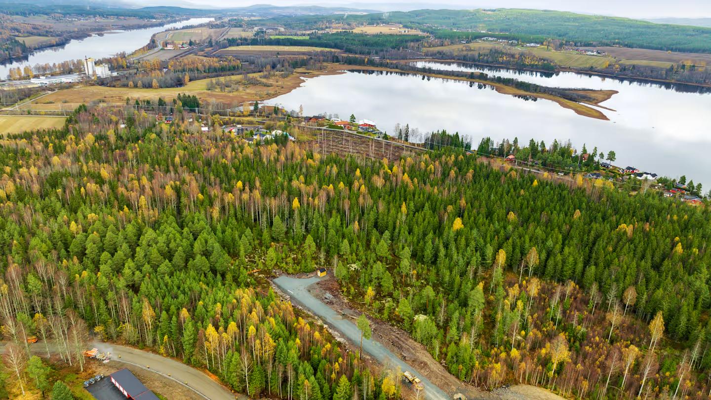 Nærområdet rundt tomtene, med Vingersjøen i bakgrunnen.