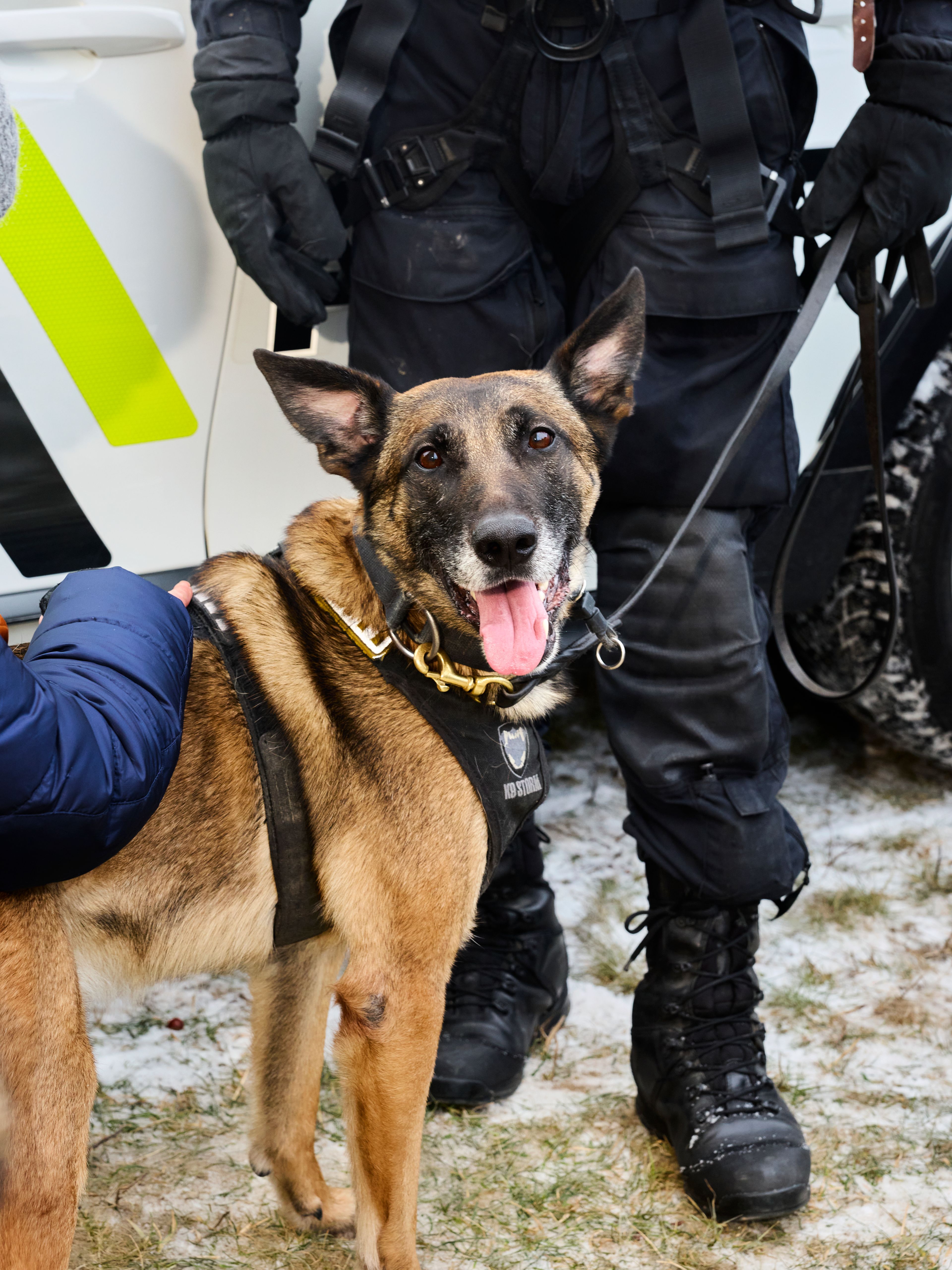 Bilde av en schäferhund i bånd sammen med en politimann.