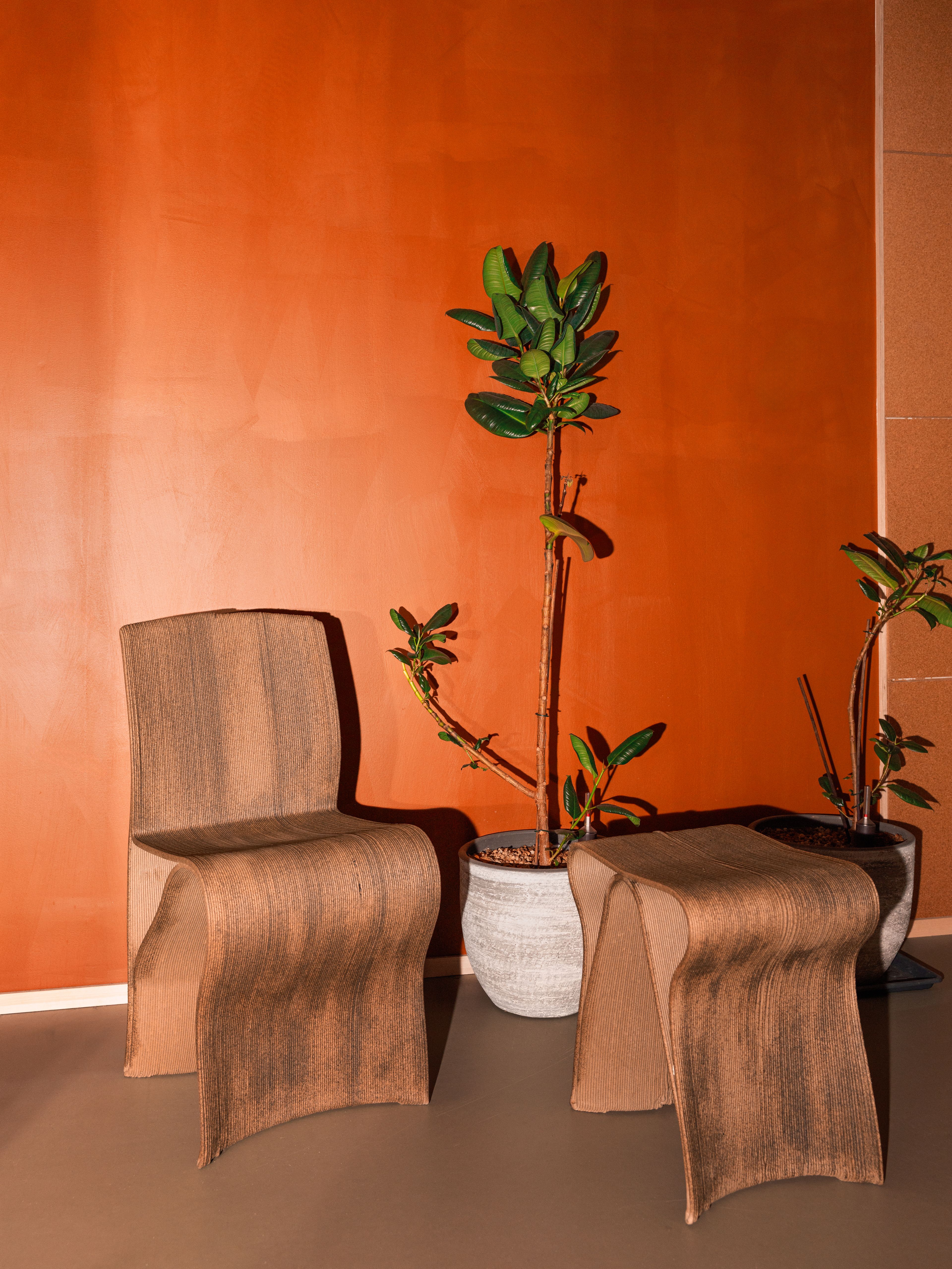 Bilde av en krok med stol og plante foran en oransj vegg.