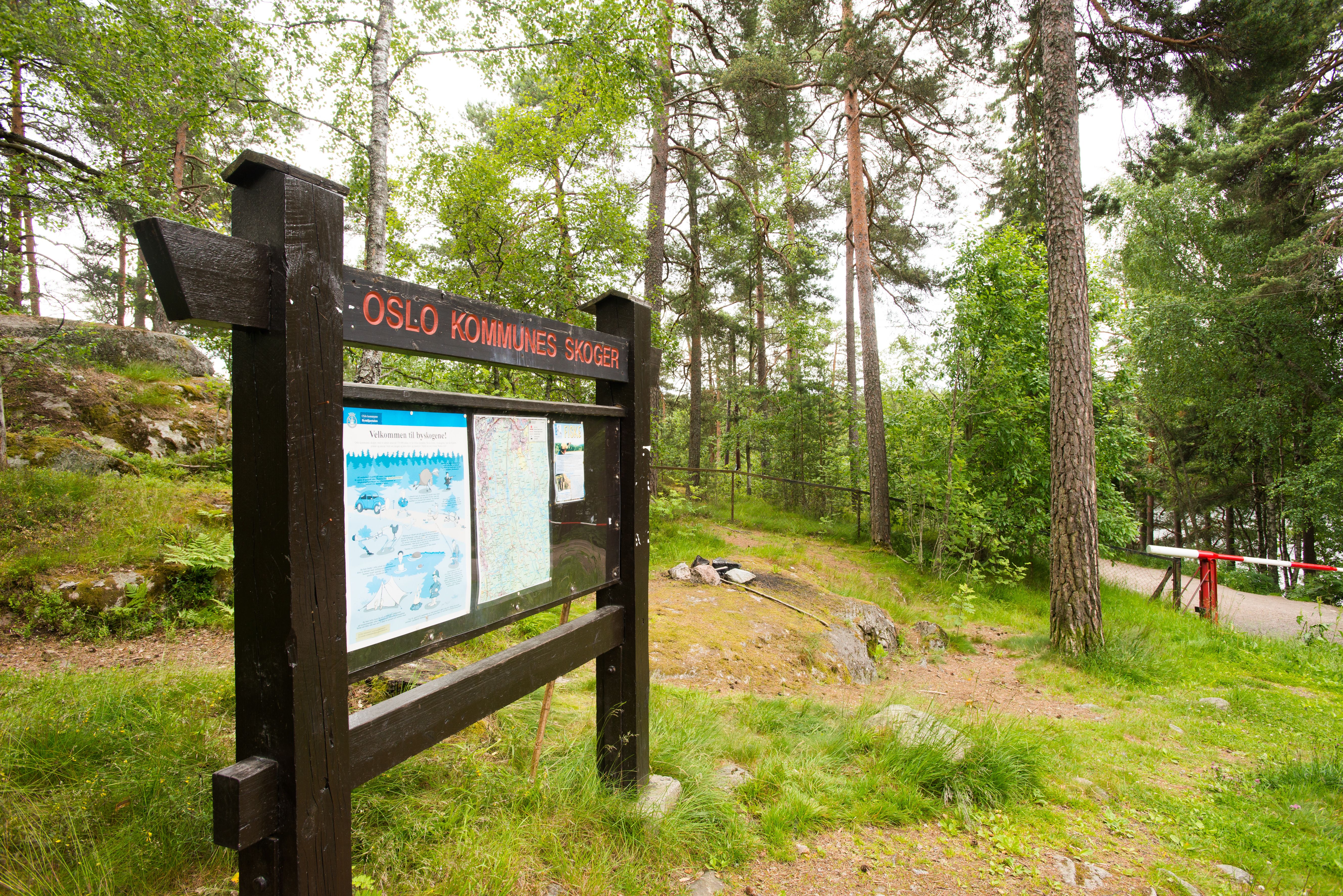 Oppslagstavle med overskriften Oslo kommunes skoger i grønne omgivelser.
