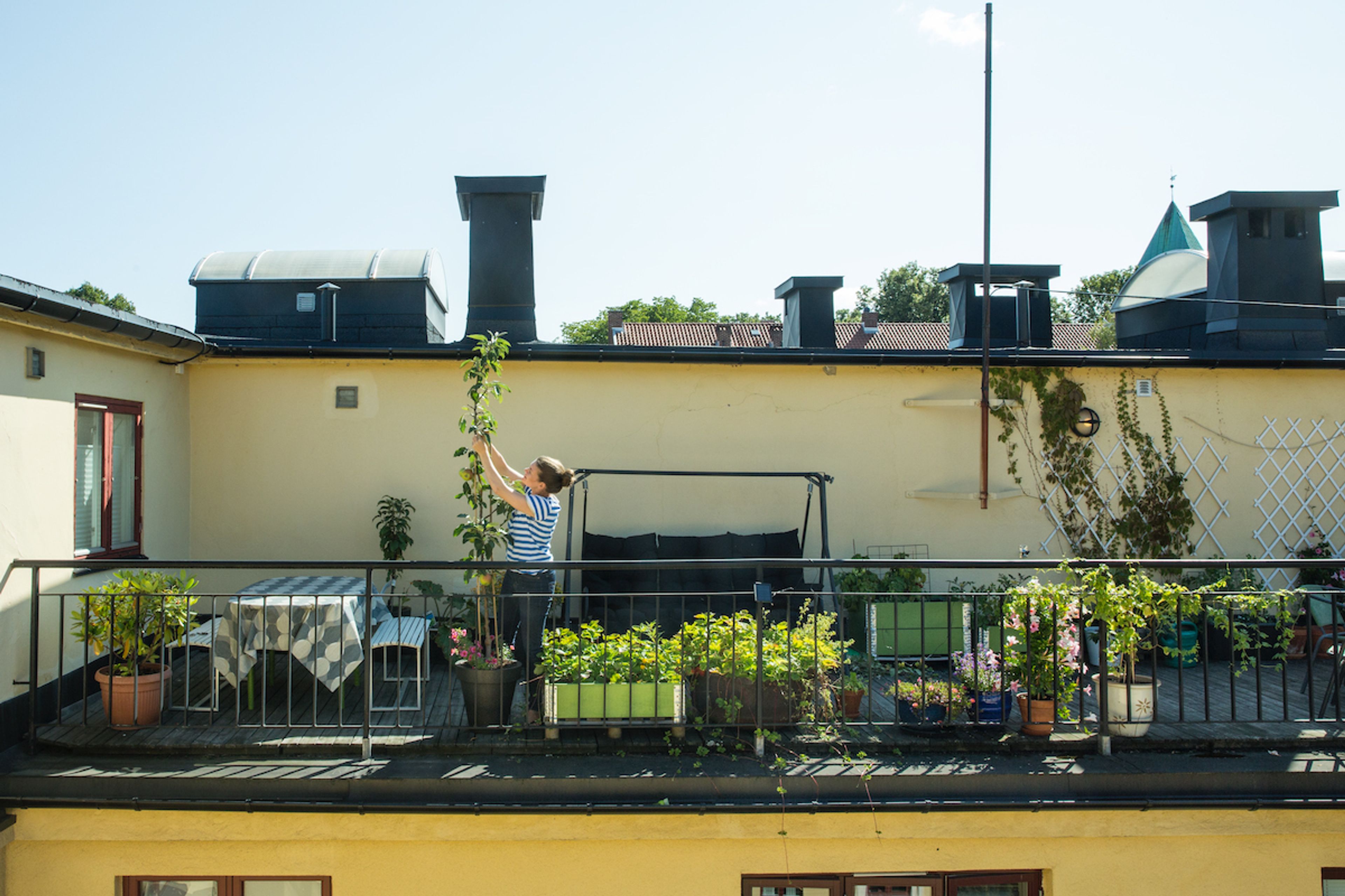 En dame steller en plante på balkongen sin.