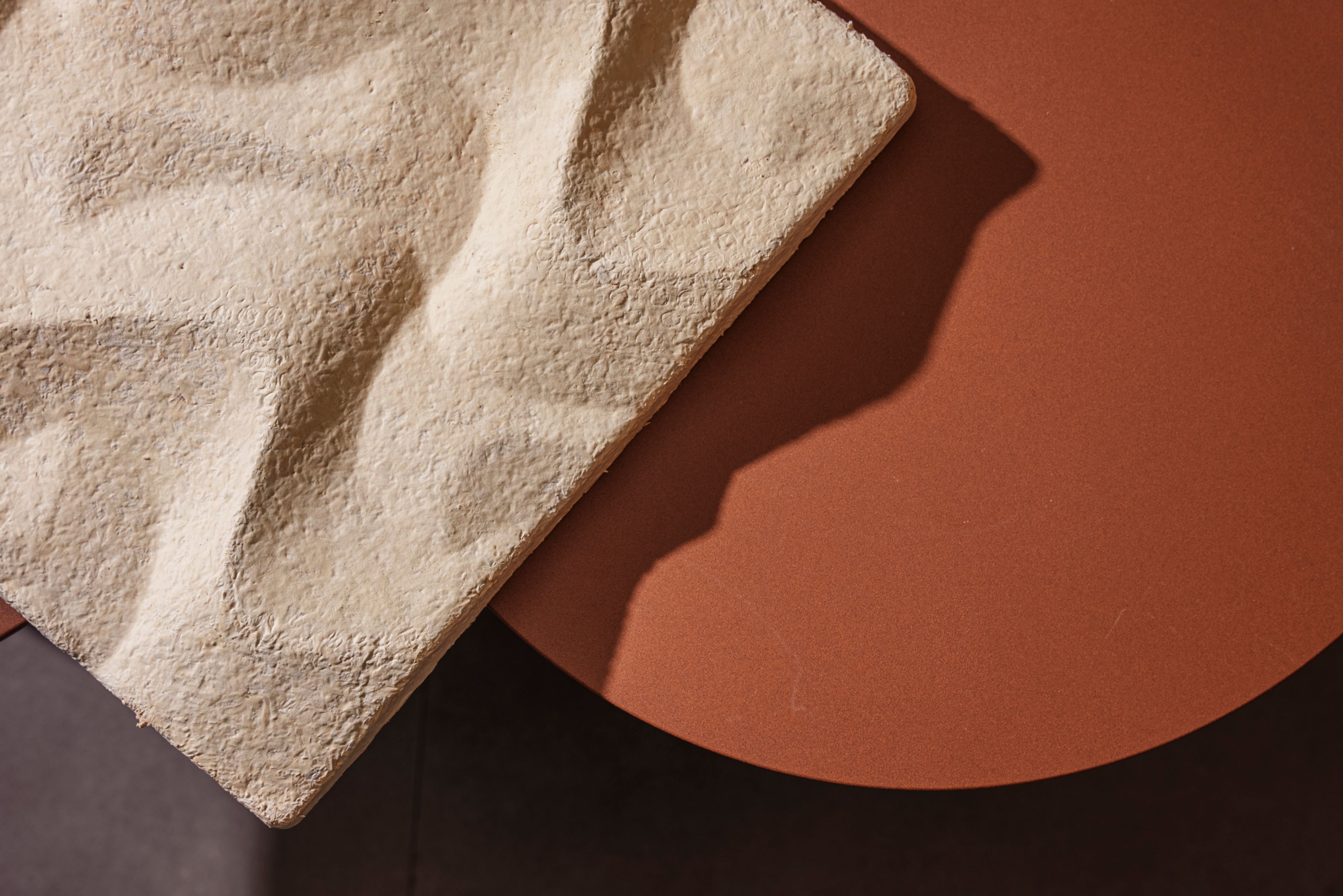 Veggprøve av soppmateriale liggende på et oransjefarget bord