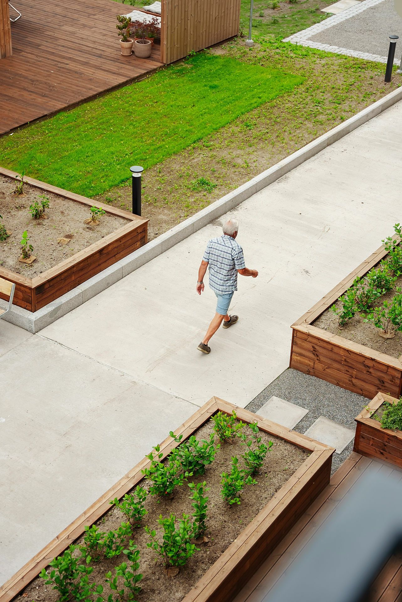 Bilde av Rune Gihlemoen som går på en gangvei mellom grønne plantepasser og plen