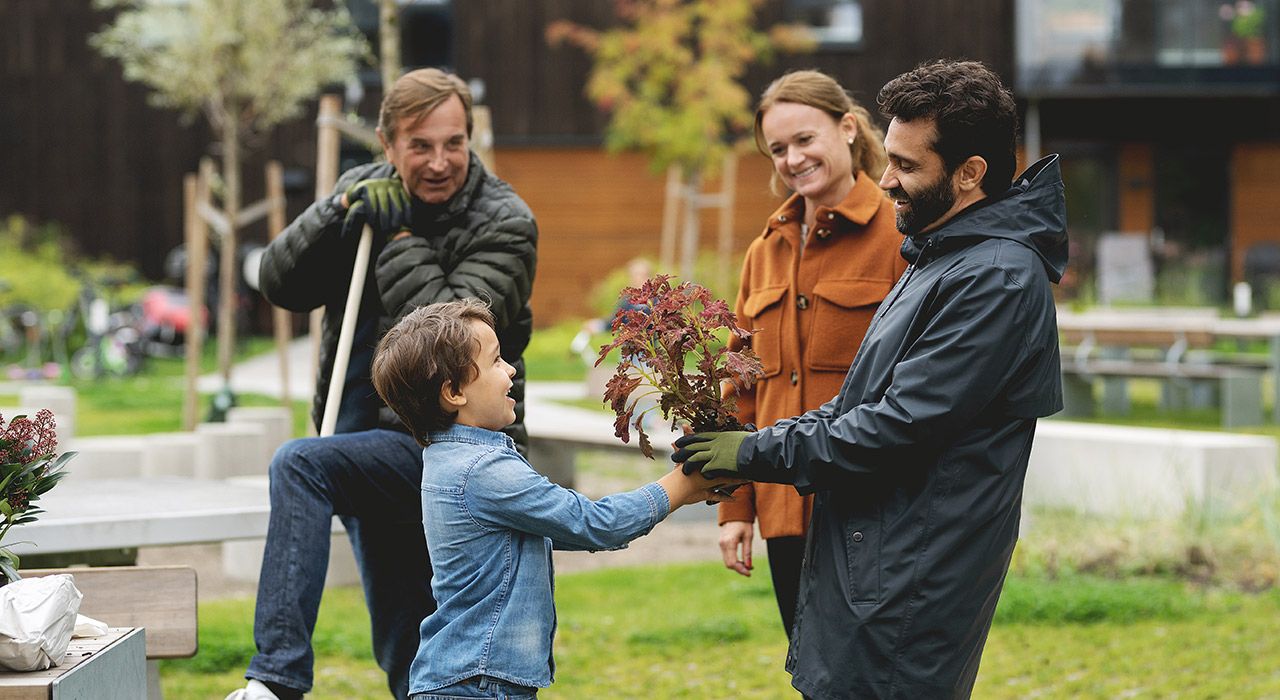 En gruppe beboere planter en plante