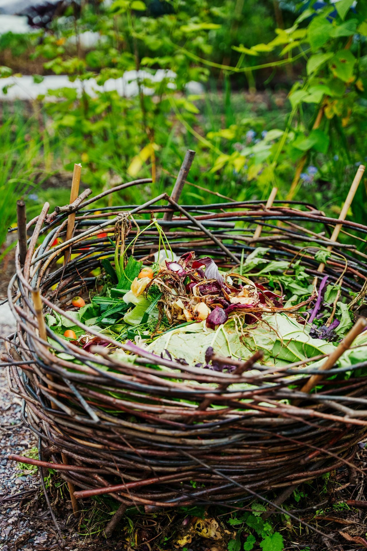 Et bilde av en stråkurv med diverse grønnsaker og blader