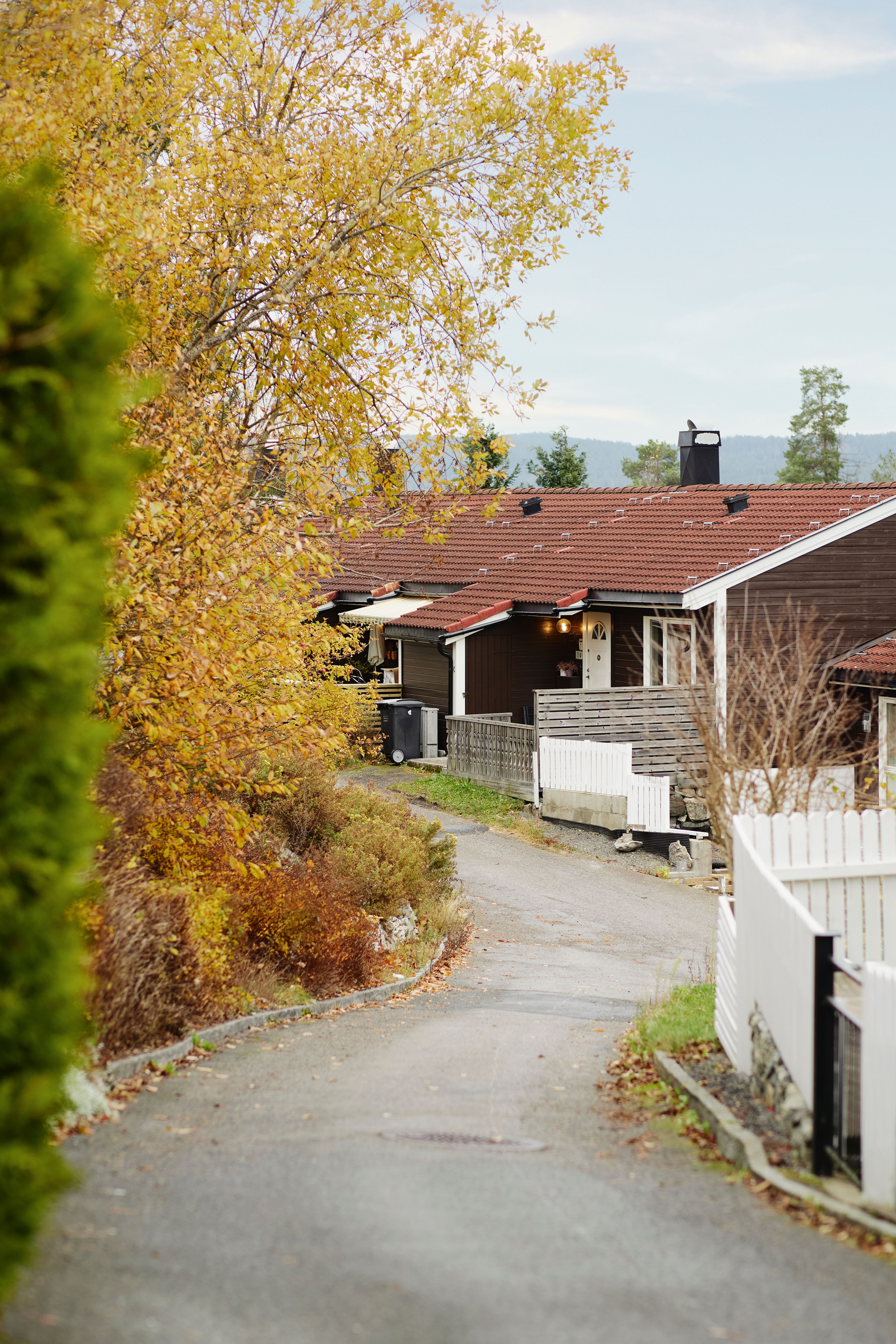 Foto av gangstien og ett av husene i Preståsen borettslag.