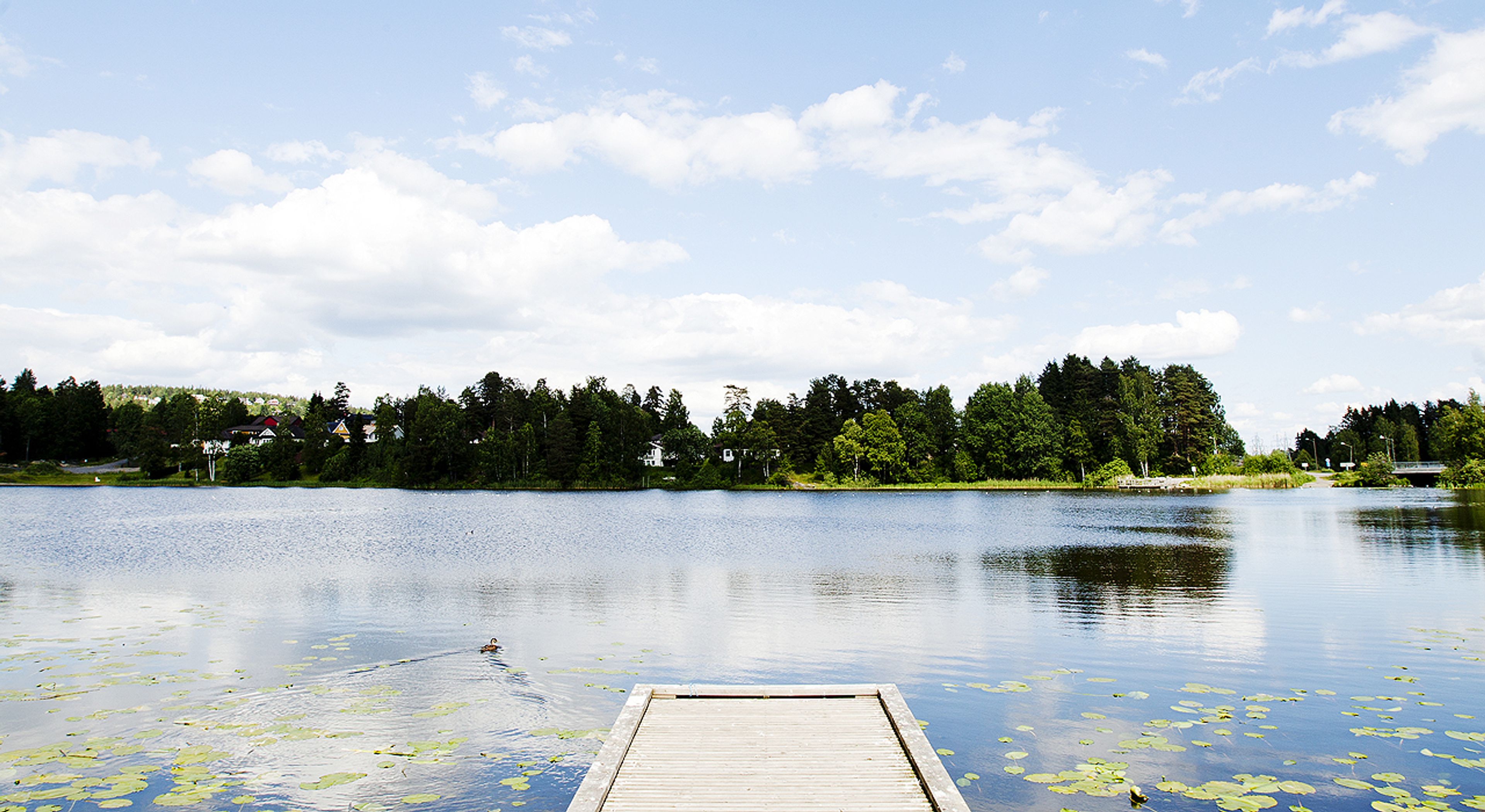 Langevannet badeplass.