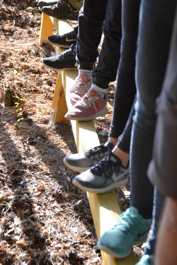 Bild für Projekt Erlebnispädagogik-Parcours CVJM Münchsteinach