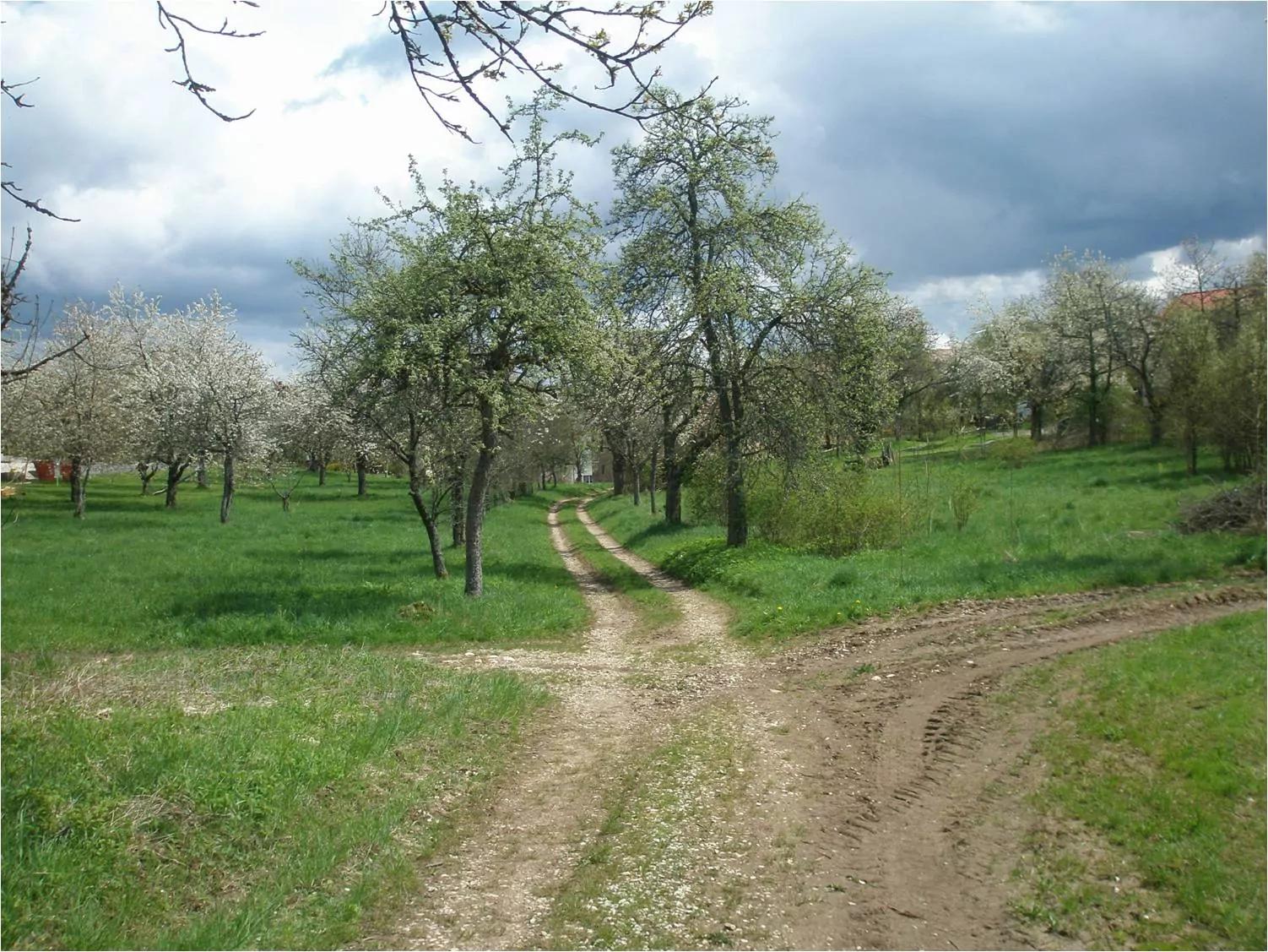 Bild für Projekt „Erfassung (historischer) Kulturlandschaften"