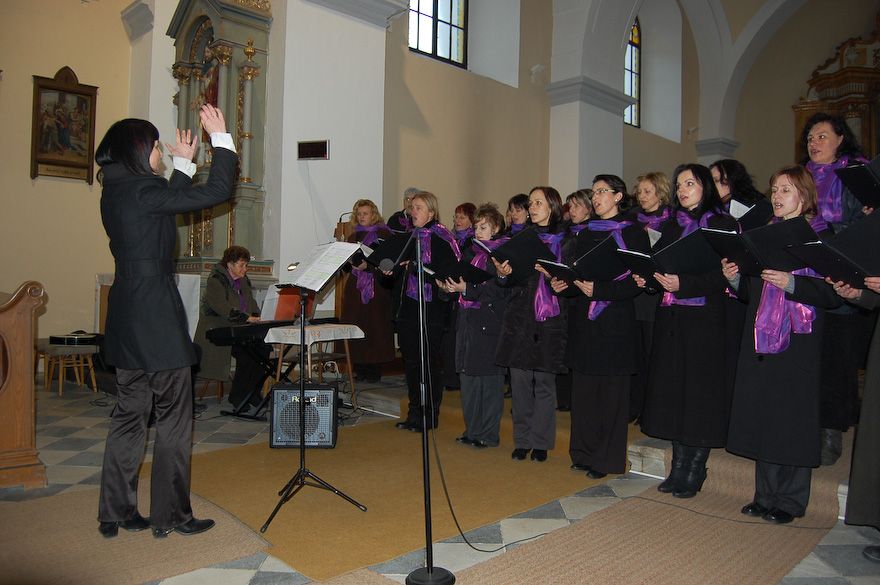 Vánoční koncerty - 2011