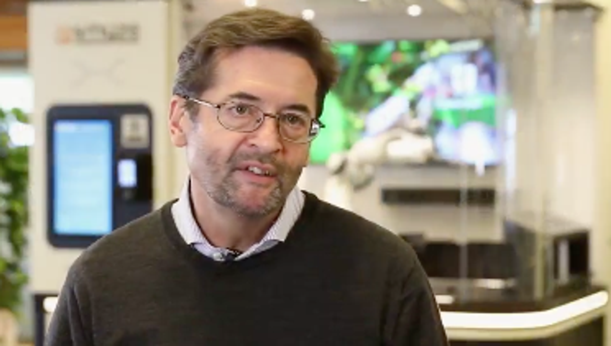 The Smyze CEO reports with Insights